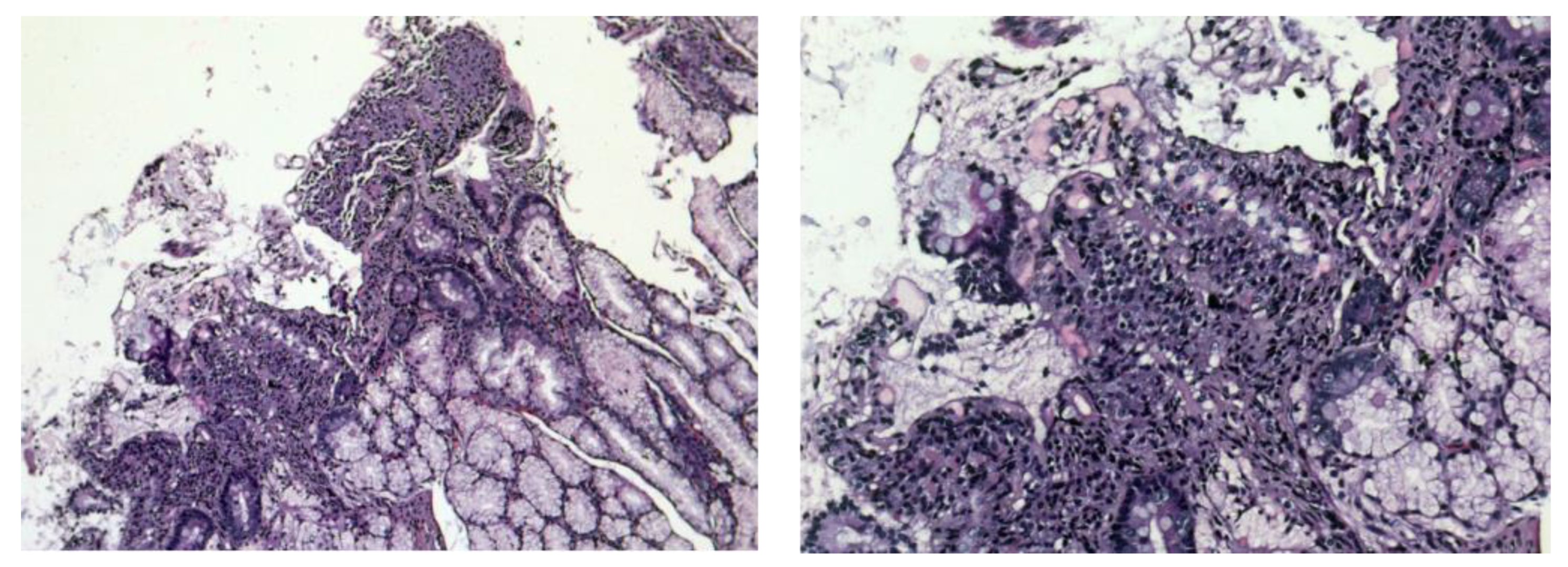 Antibodies 12 00079 g004
