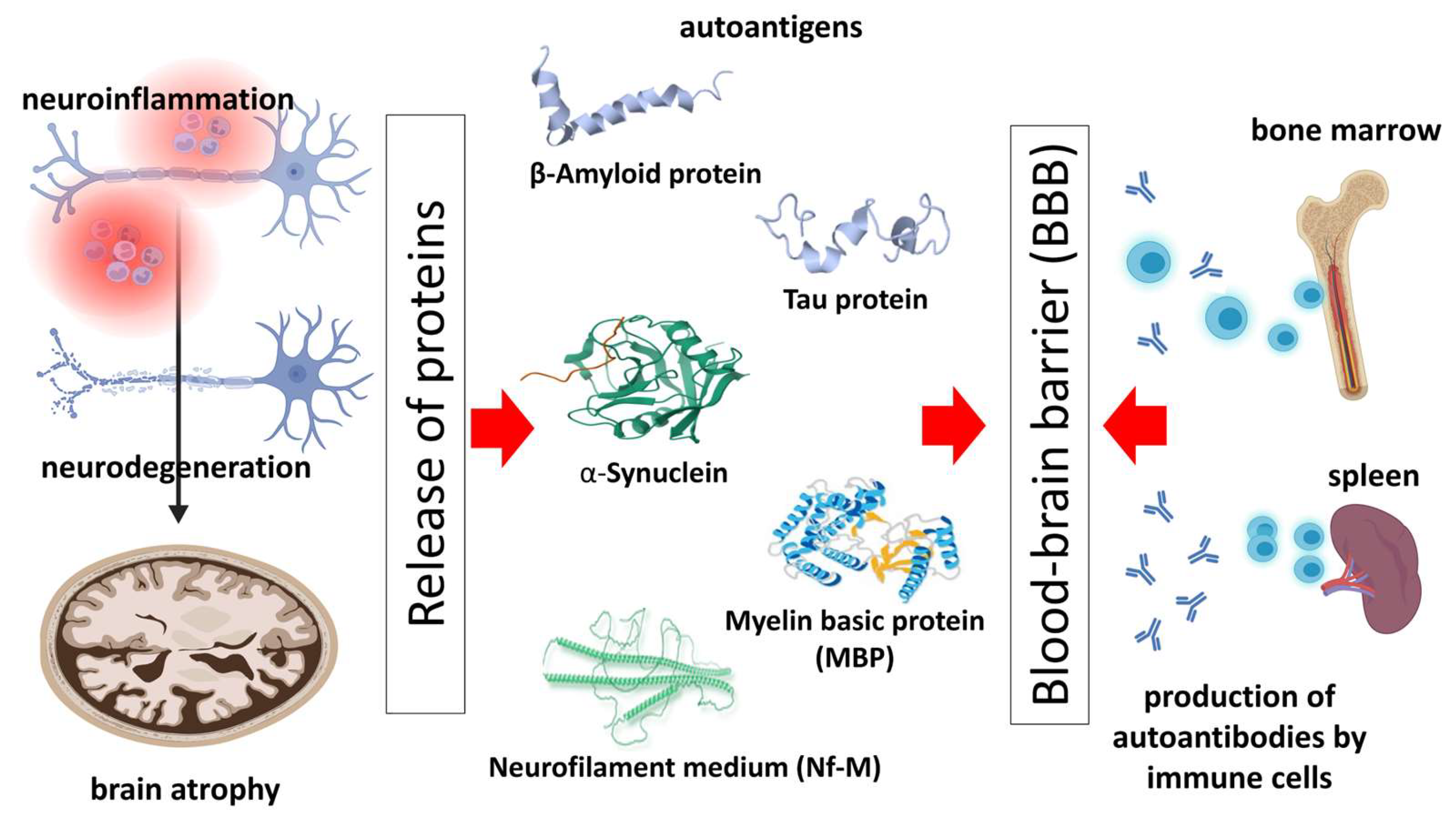 Antibodies 12 00081 g001