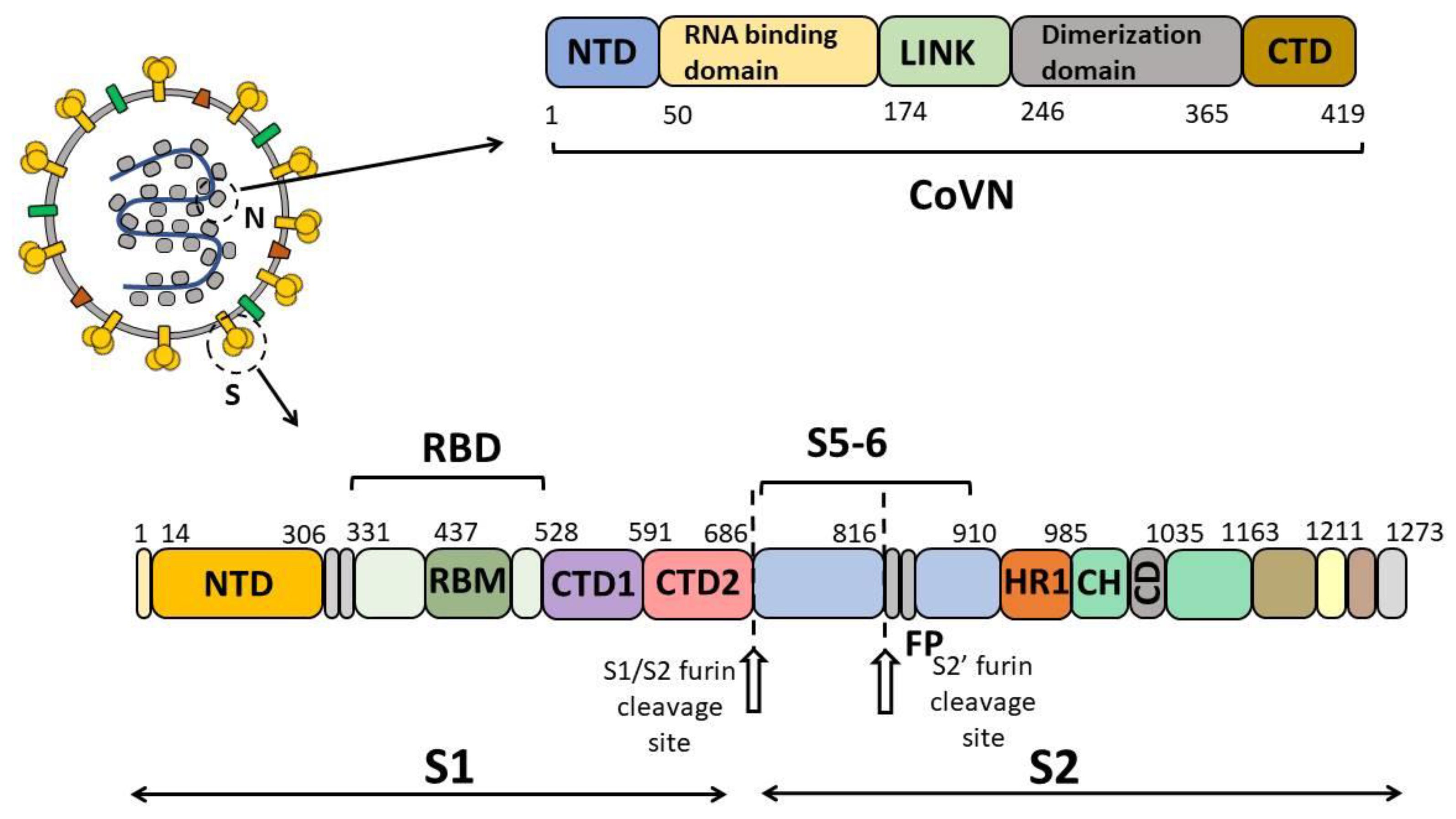 Antibodies 12 00082 g001