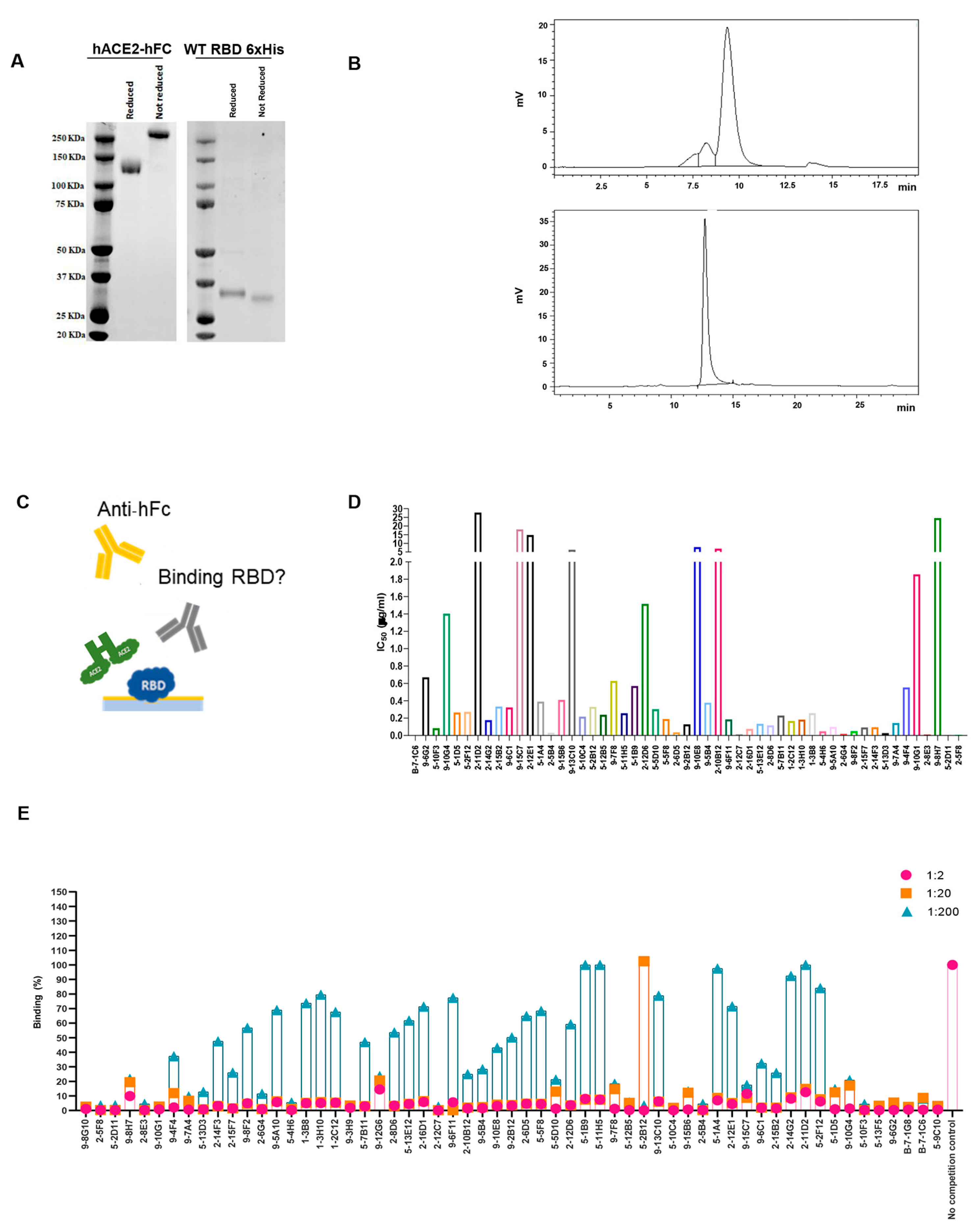 Antibodies 13 00005 g003