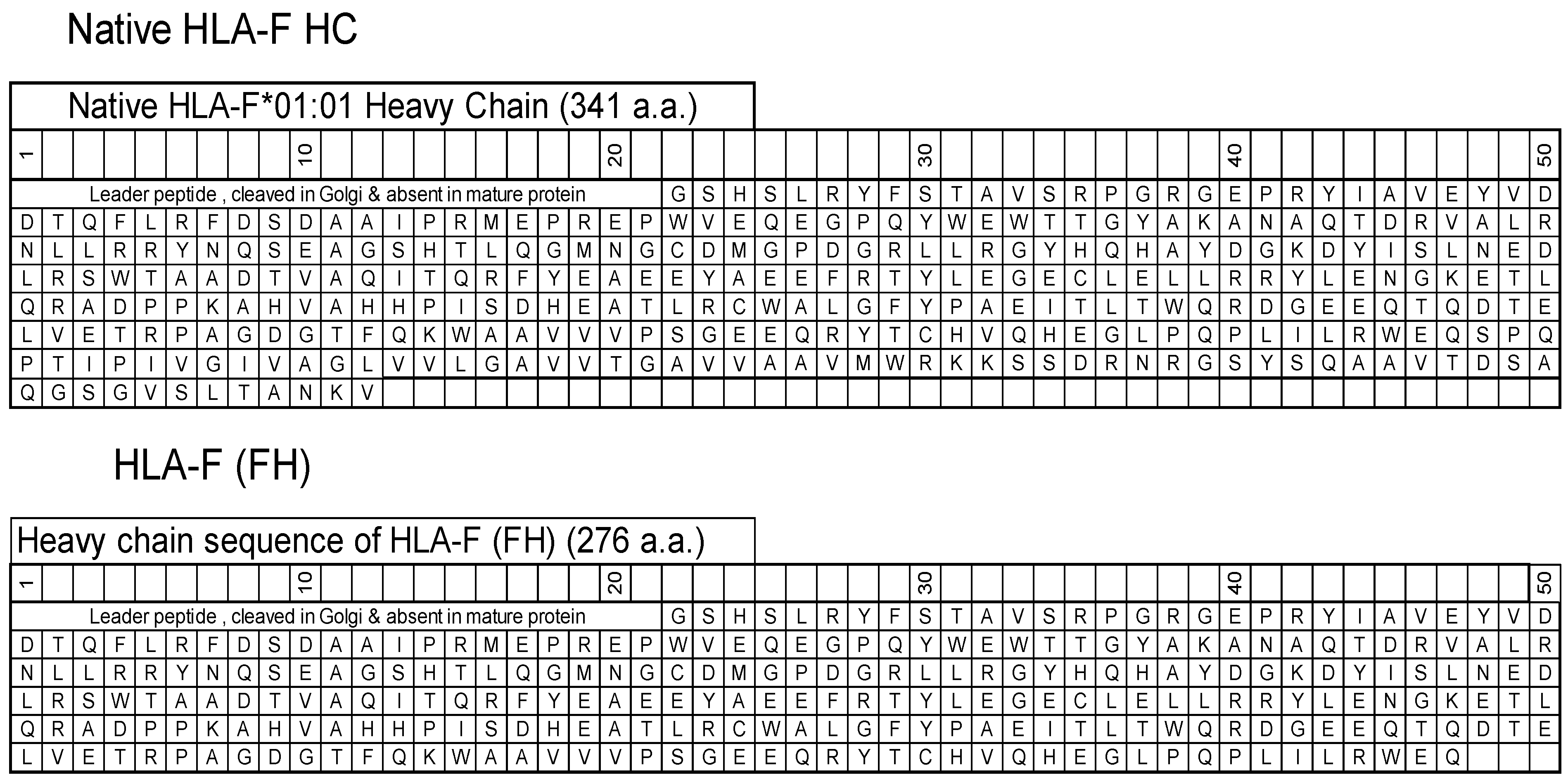 Antibodies 13 00008 g001 Antibodies 13 00008 g001