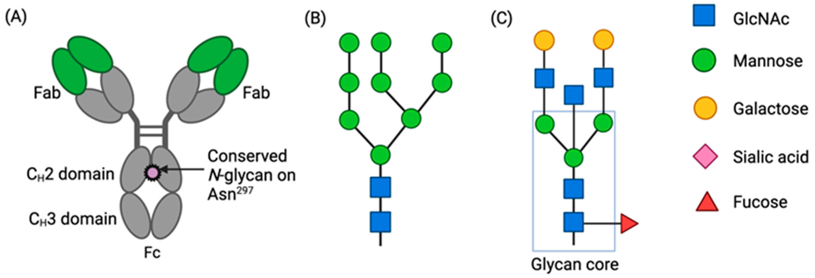 Antibodies 13 00017 g001 Antibodies 13 00017 g001