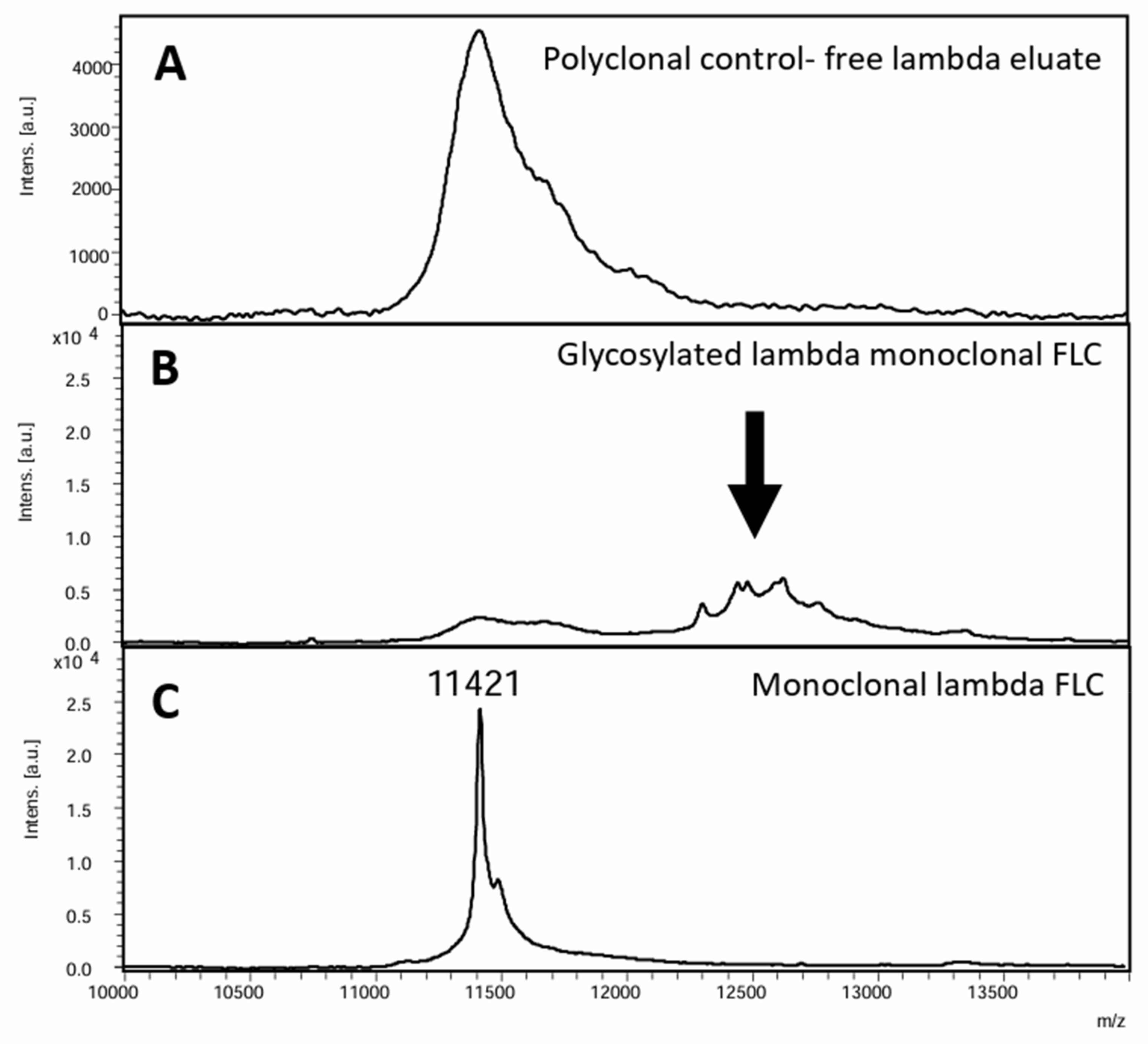 Antibodies 13 00019 g004