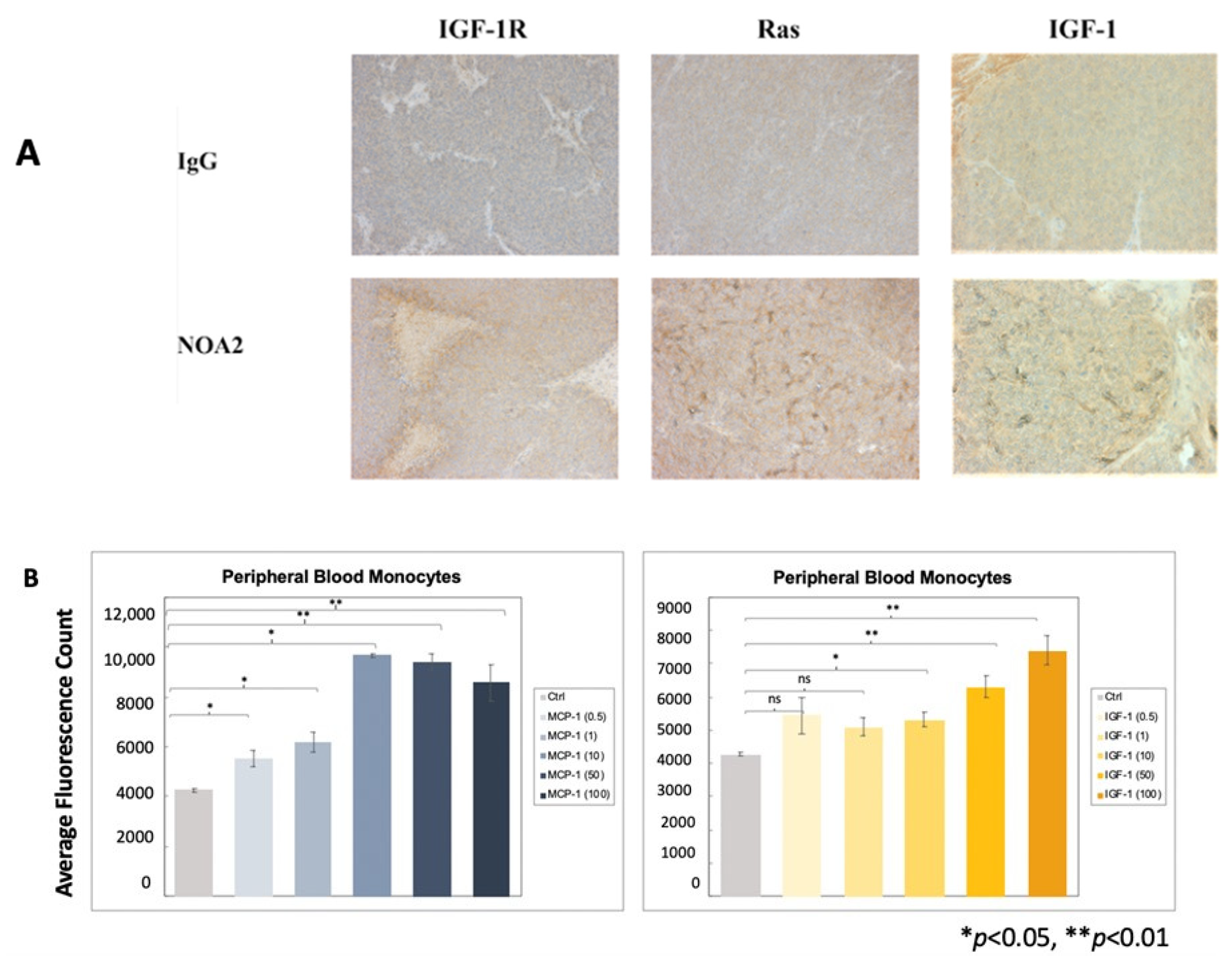 Antibodies 13 00024 g004 Antibodies 13 00024 g004