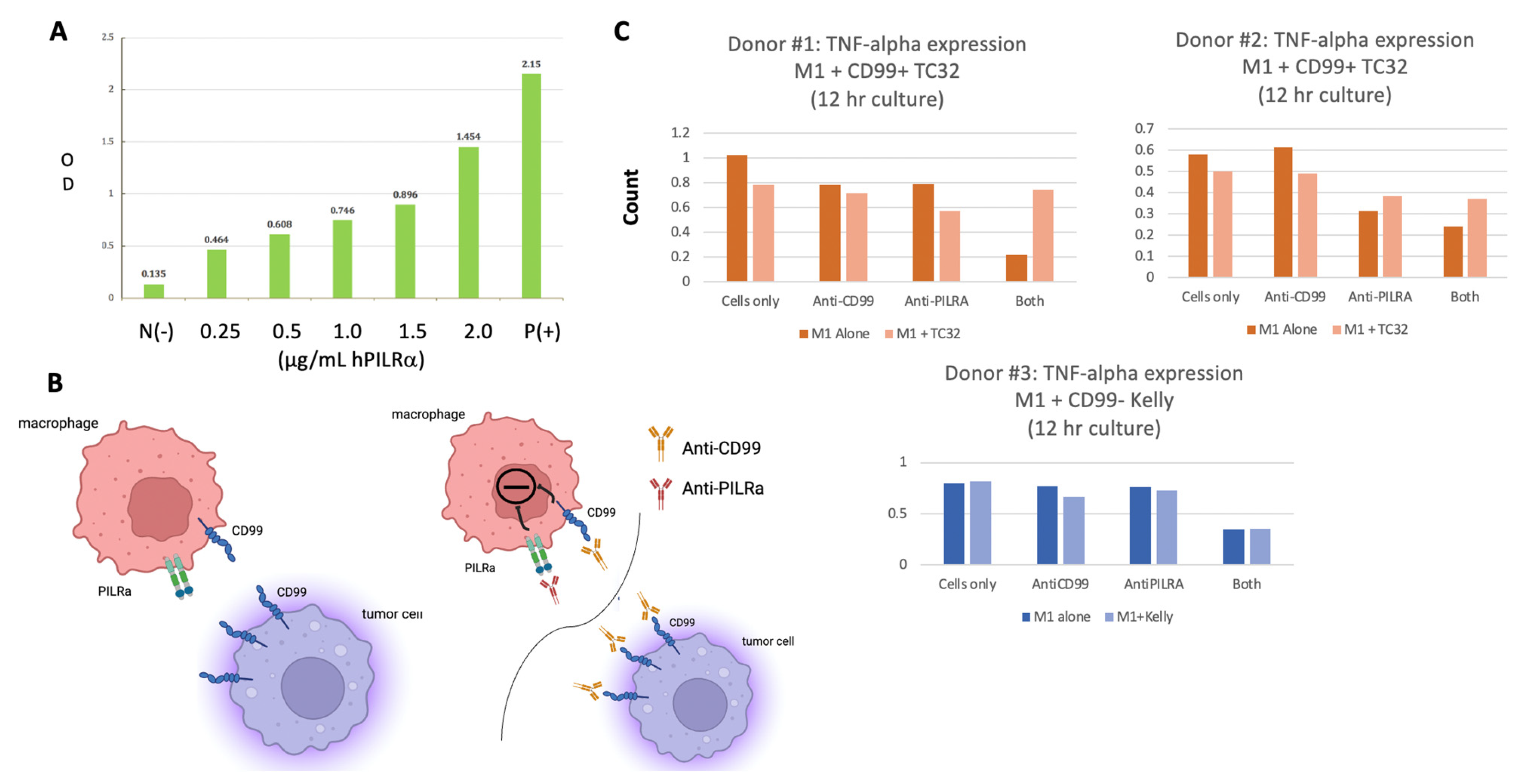 Antibodies 13 00024 g005 Antibodies 13 00024 g005