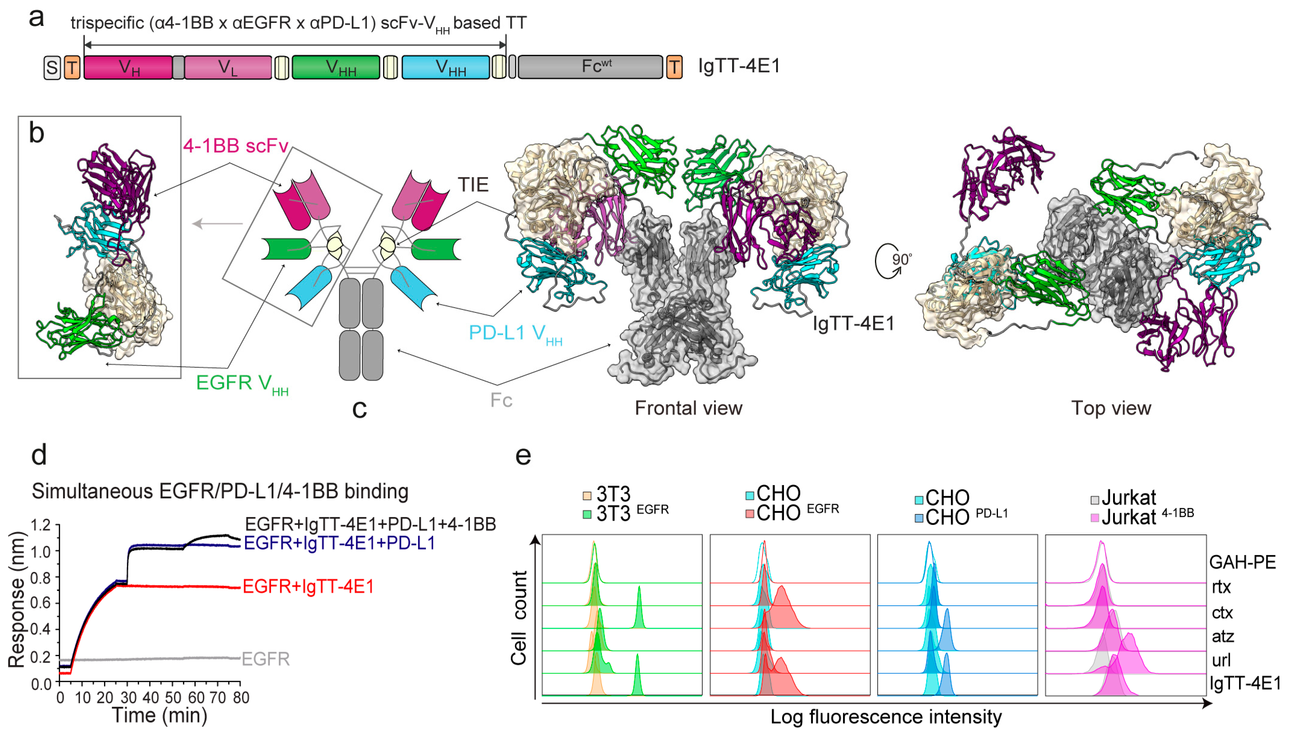 Antibodies 13 00034 g001 Antibodies 13 00034 g001
