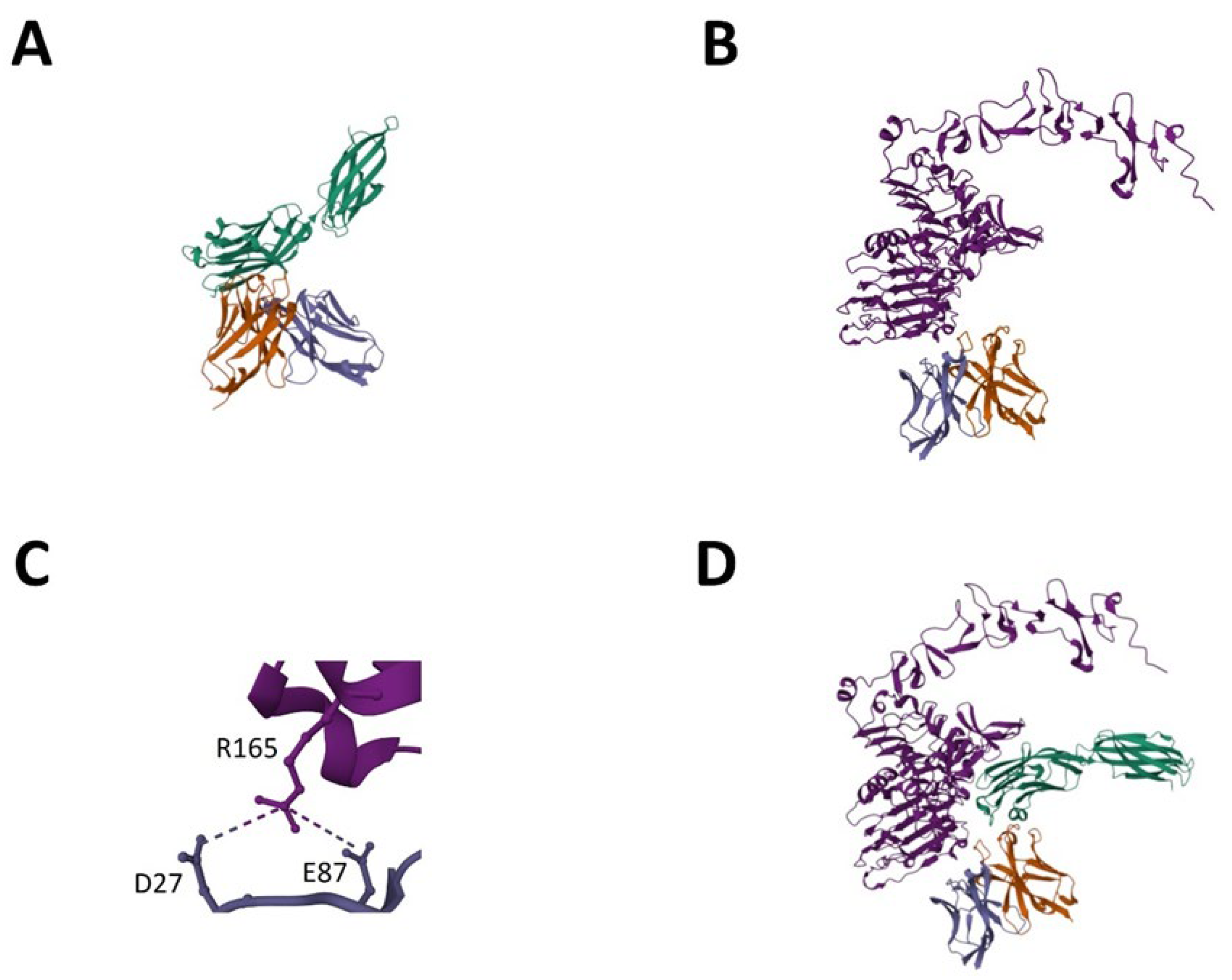Antibodies 13 00036 g007