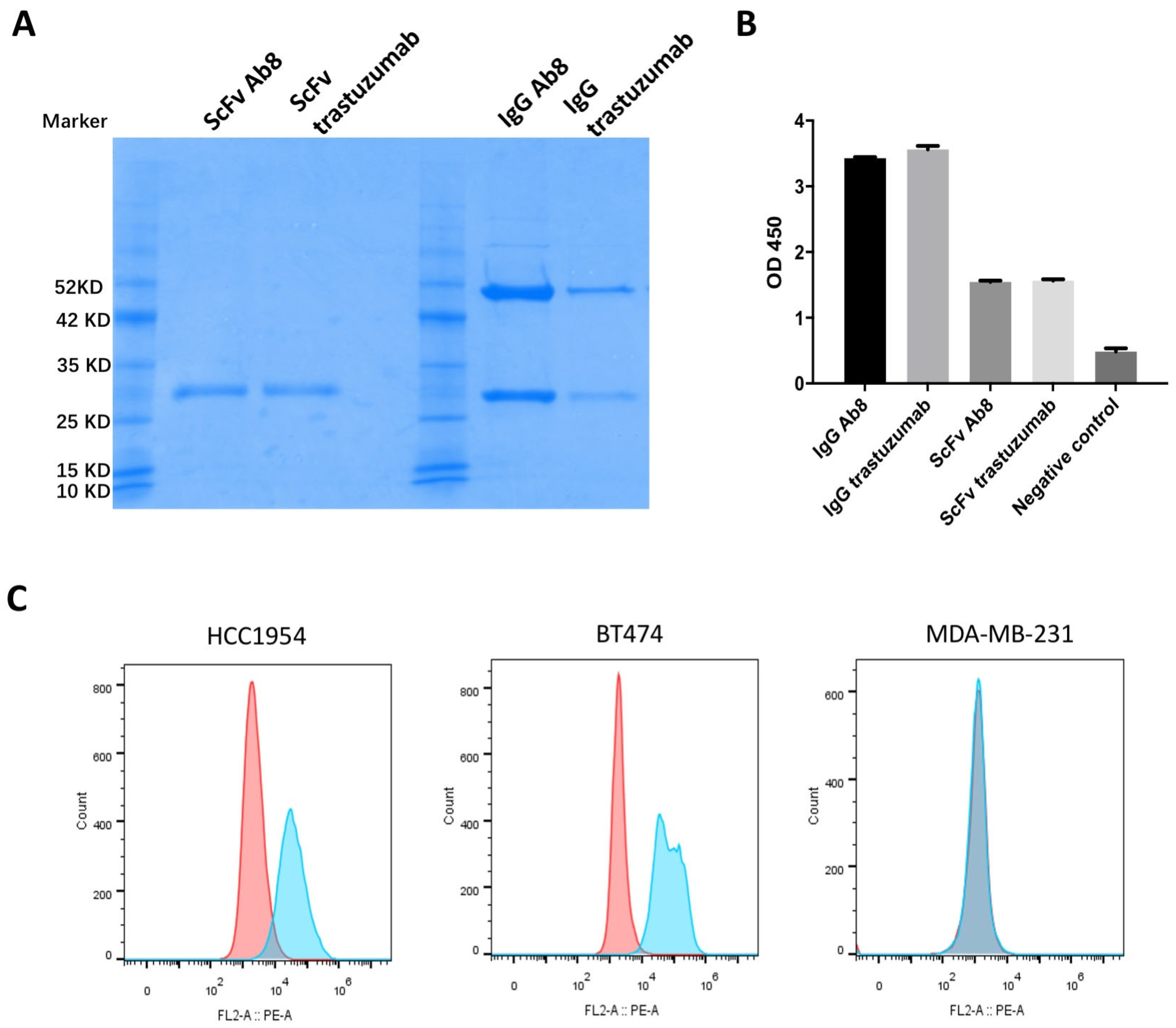 Antibodies 13 00045 g001