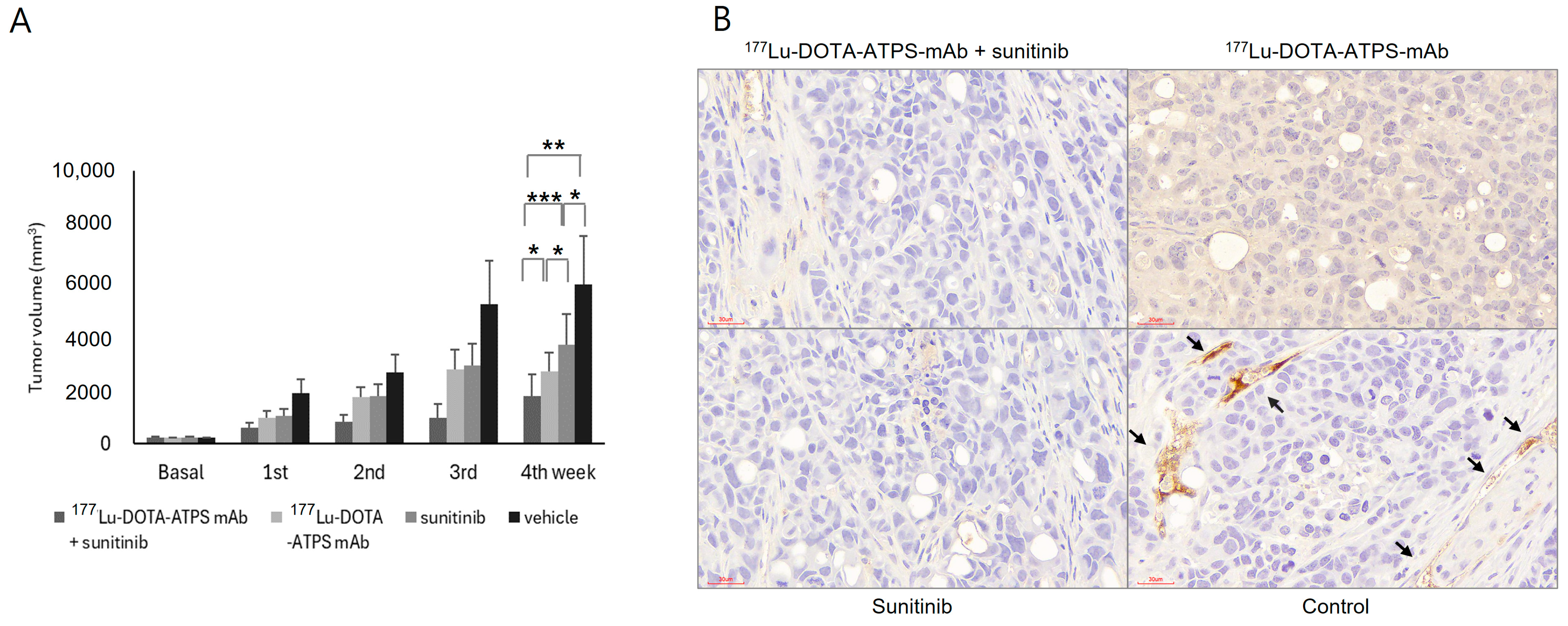 Antibodies 13 00051 g008a