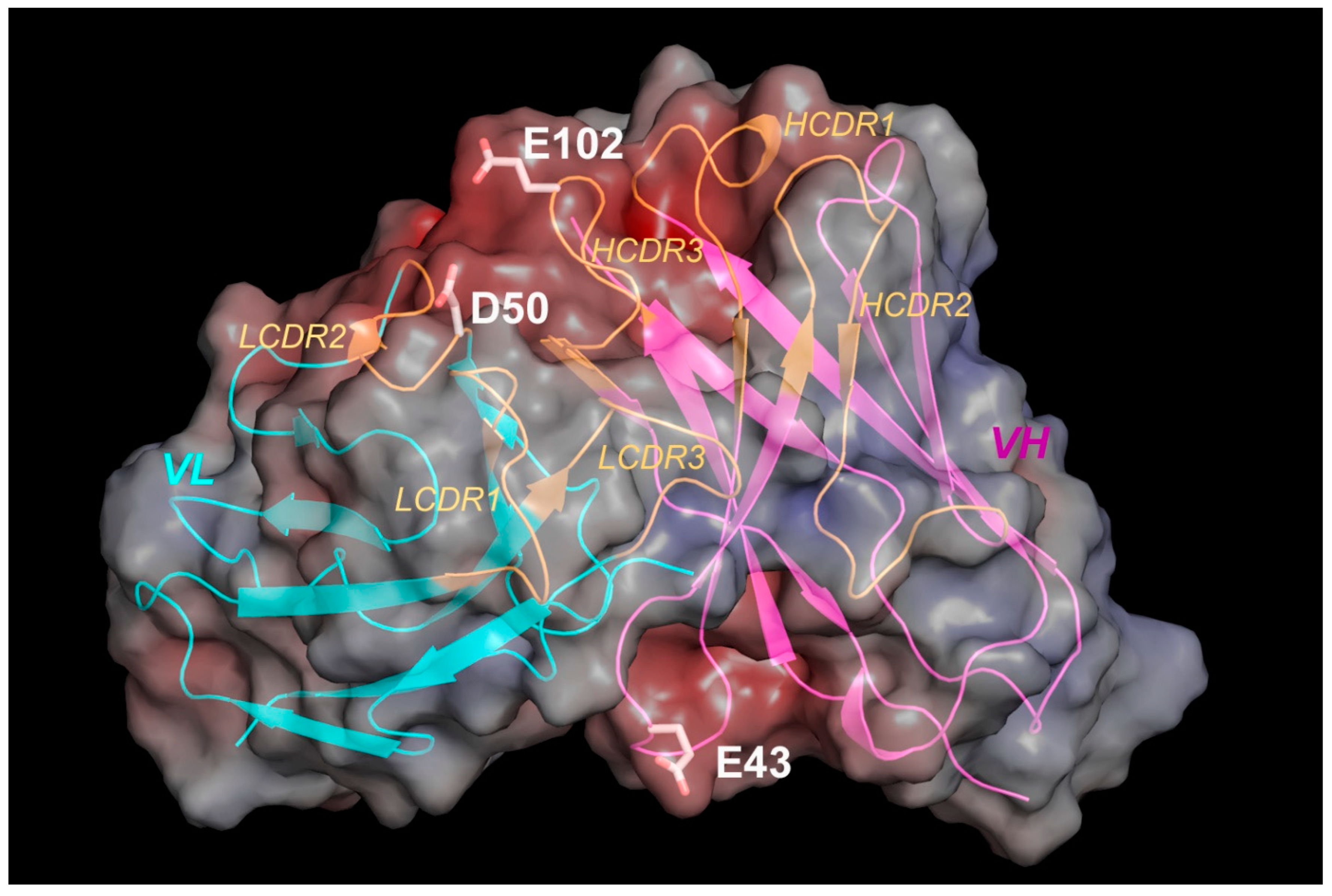 Antibodies 13 00052 g012