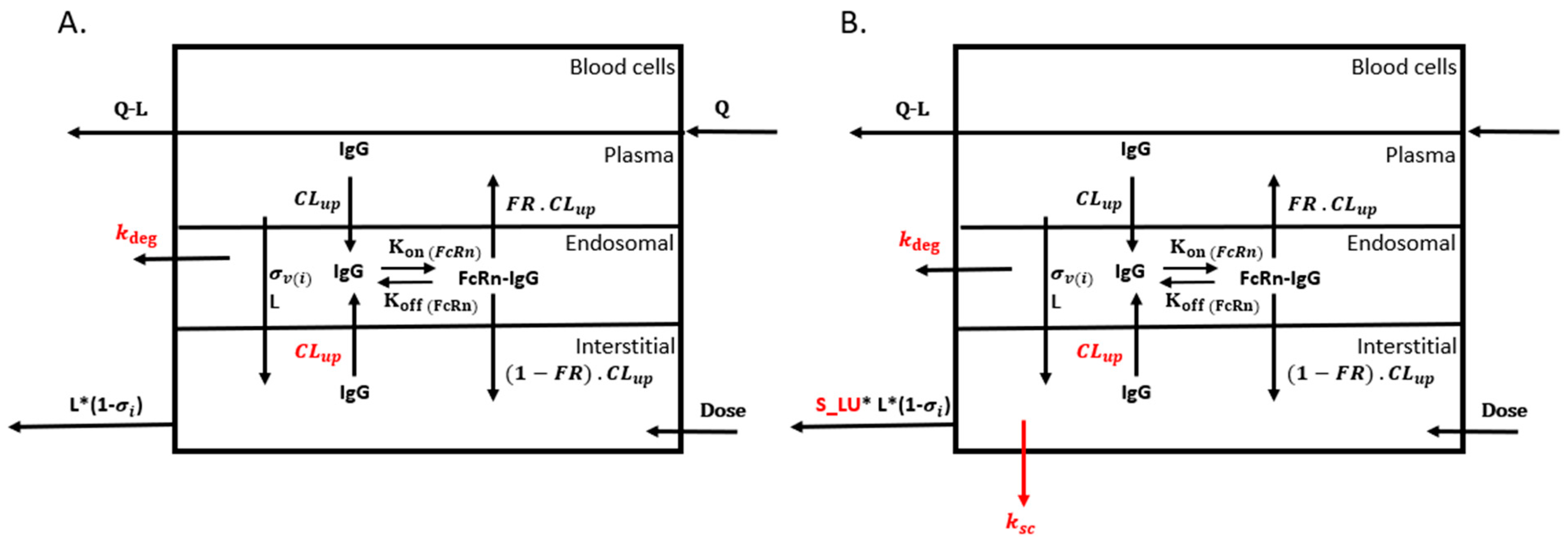 Antibodies 13 00054 g002
