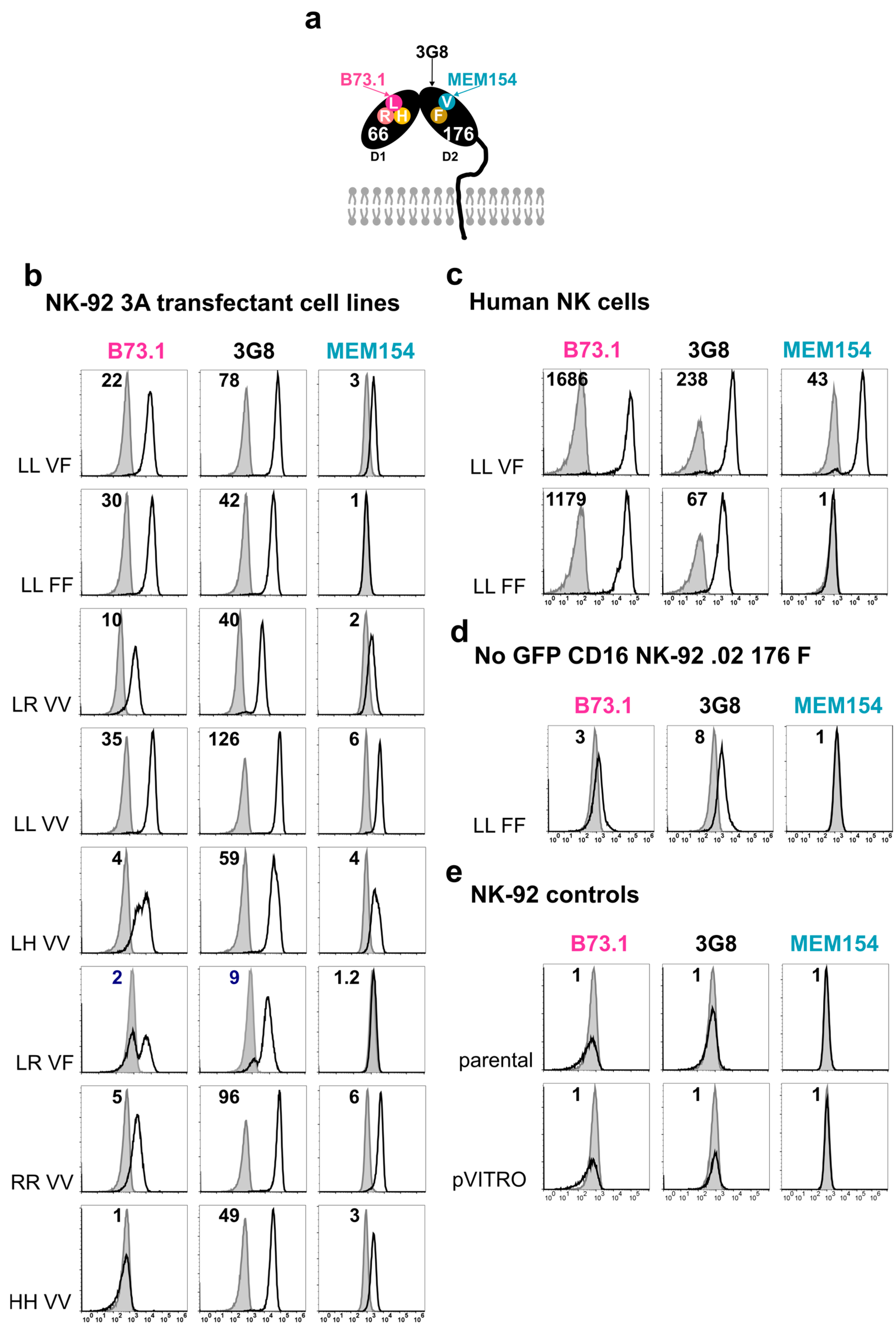 Antibodies 13 00055 g002a