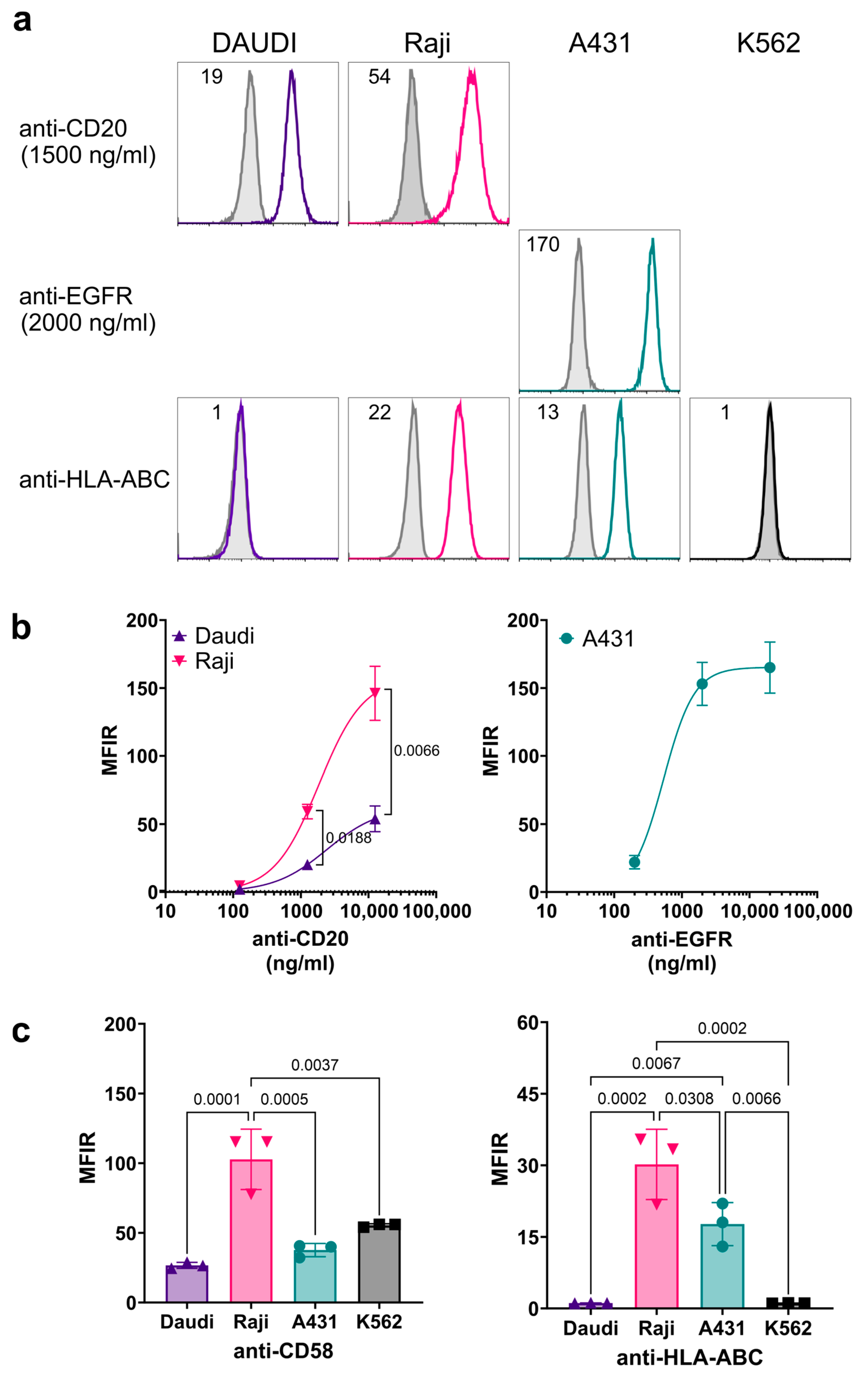 Antibodies 13 00055 g004