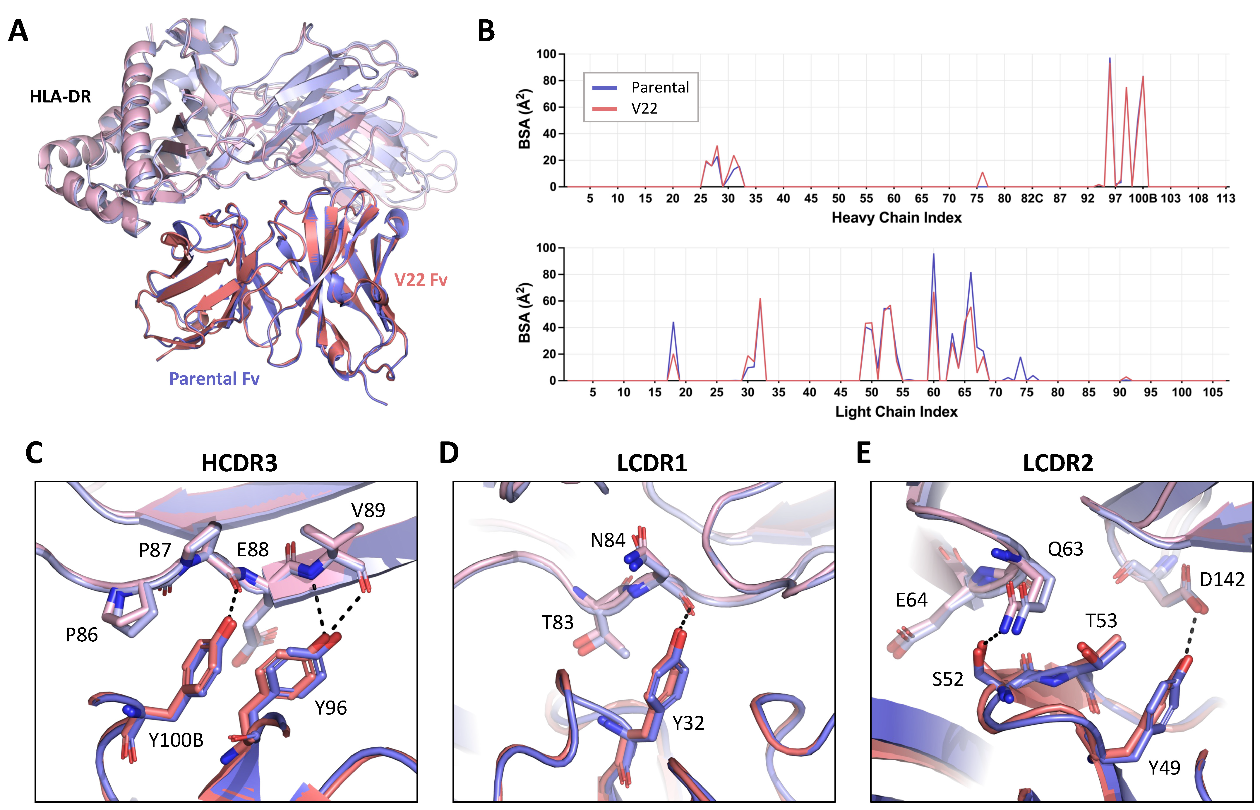 Antibodies 13 00057 g005