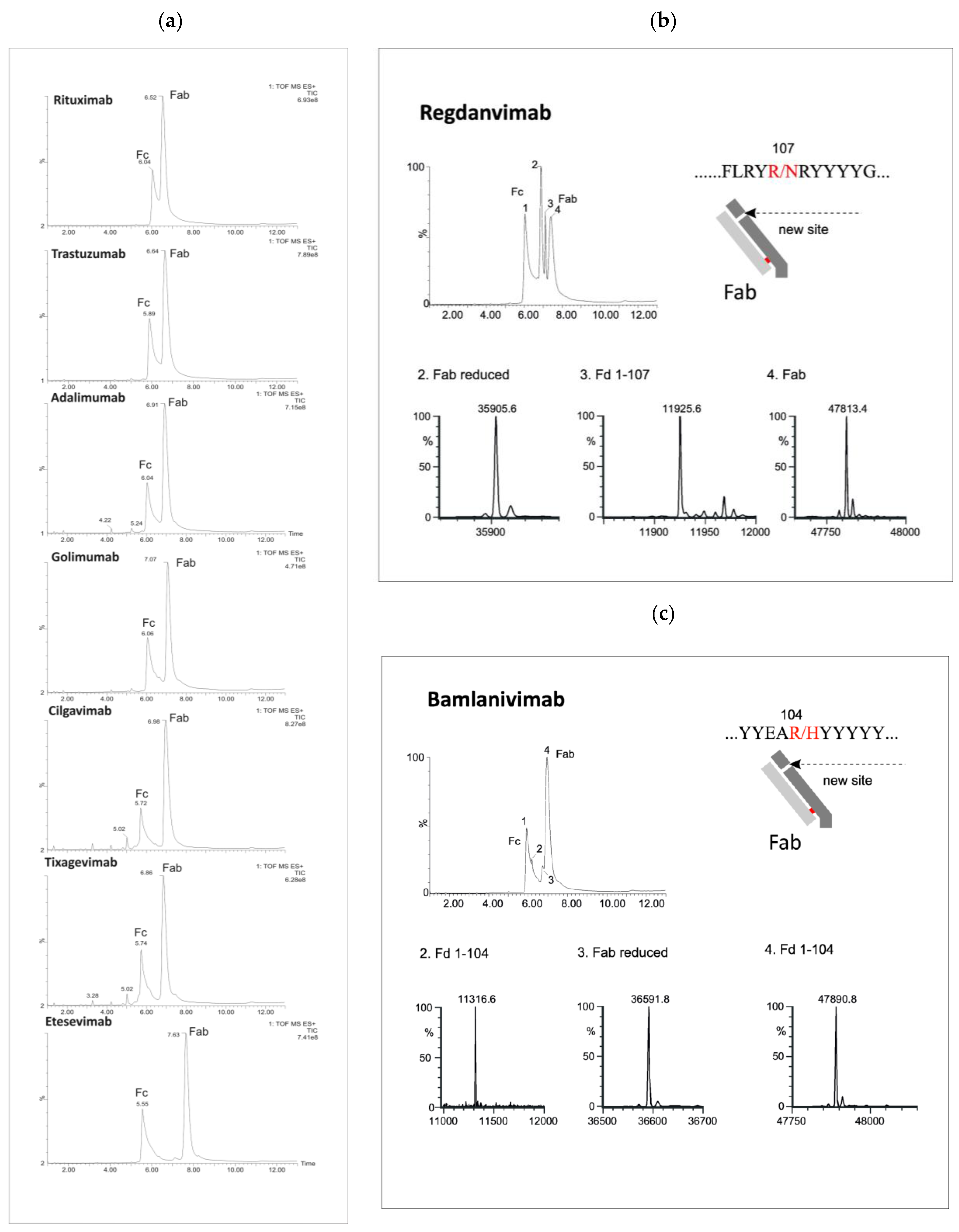 Antibodies 13 00066 g002