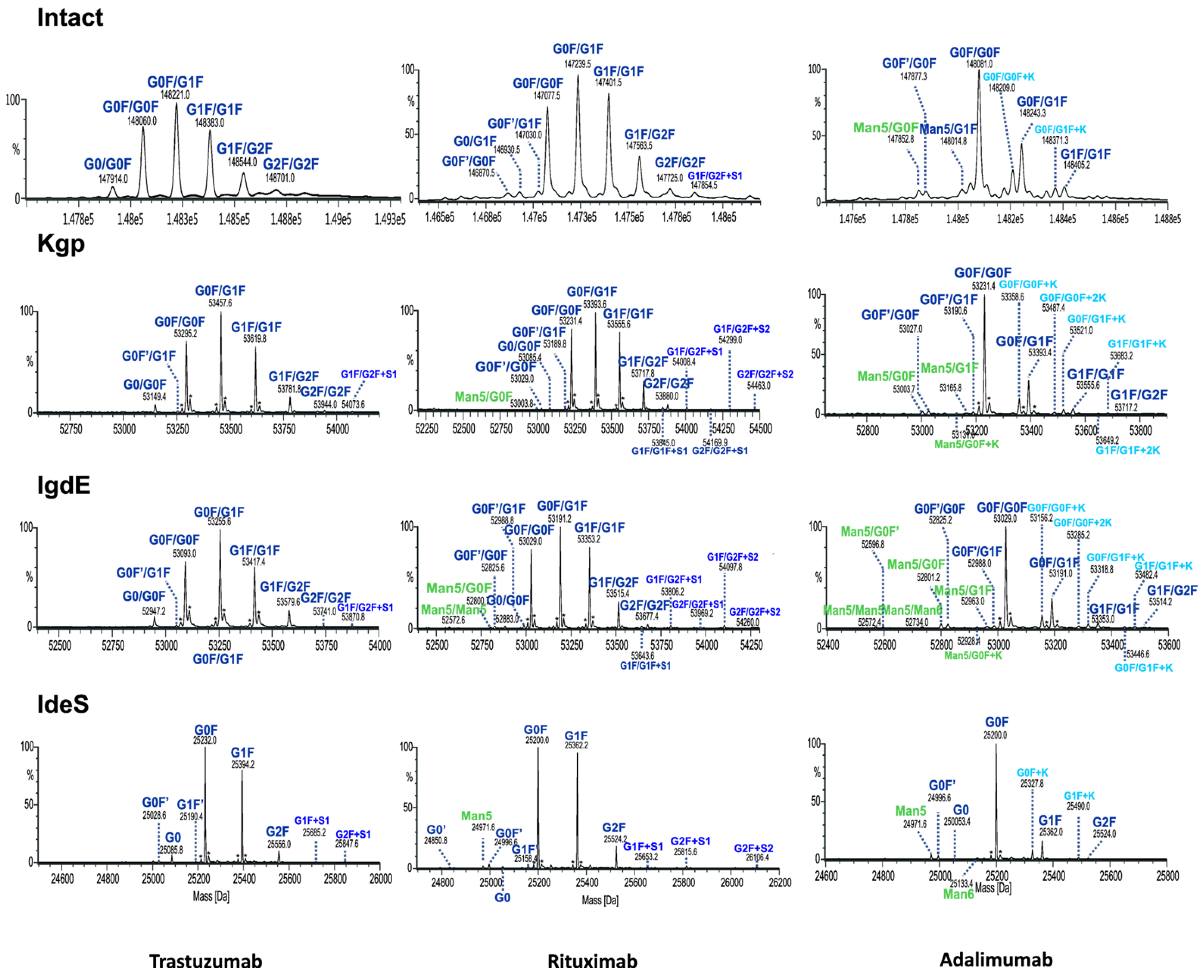 Antibodies 13 00066 g006
