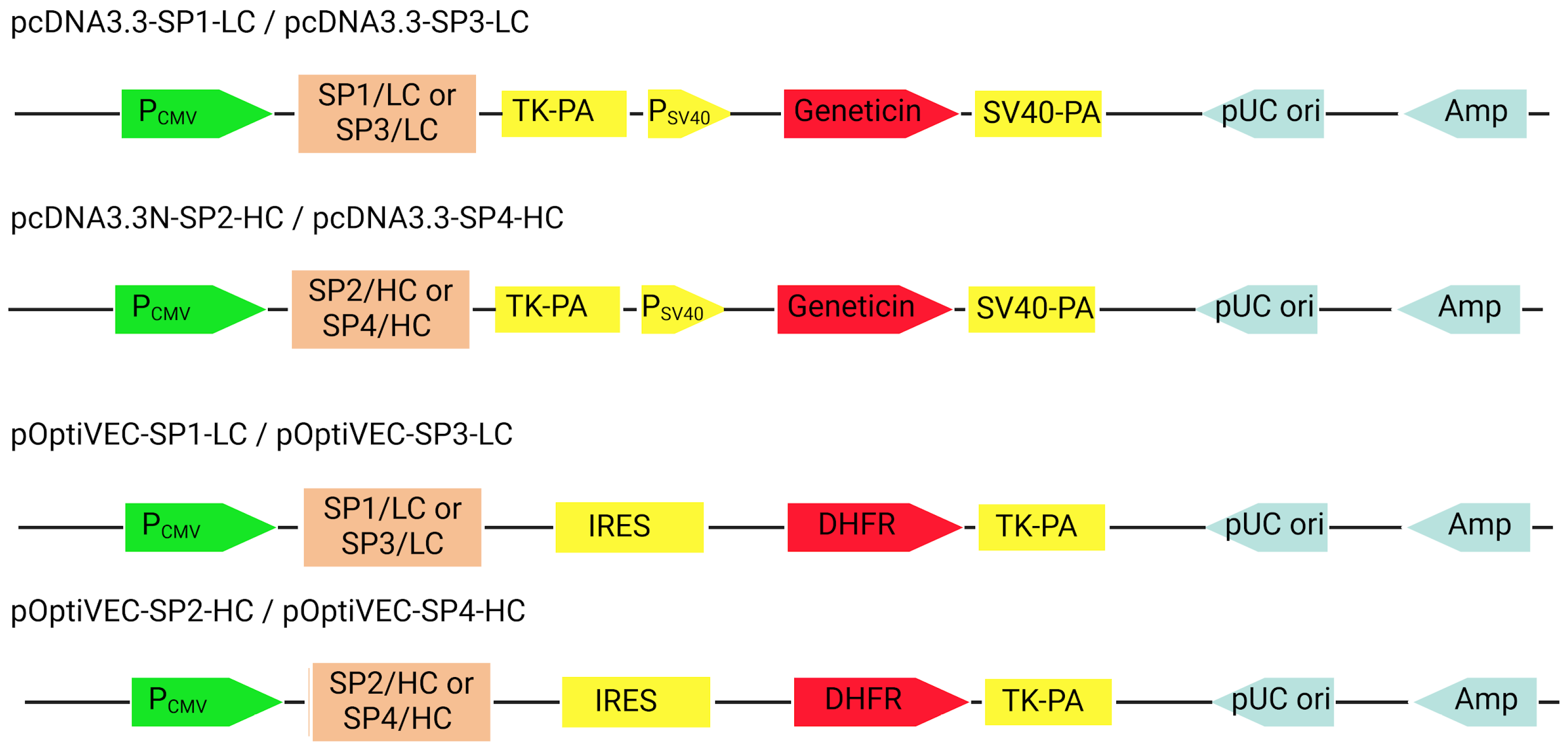 Antibodies 13 00082 g004