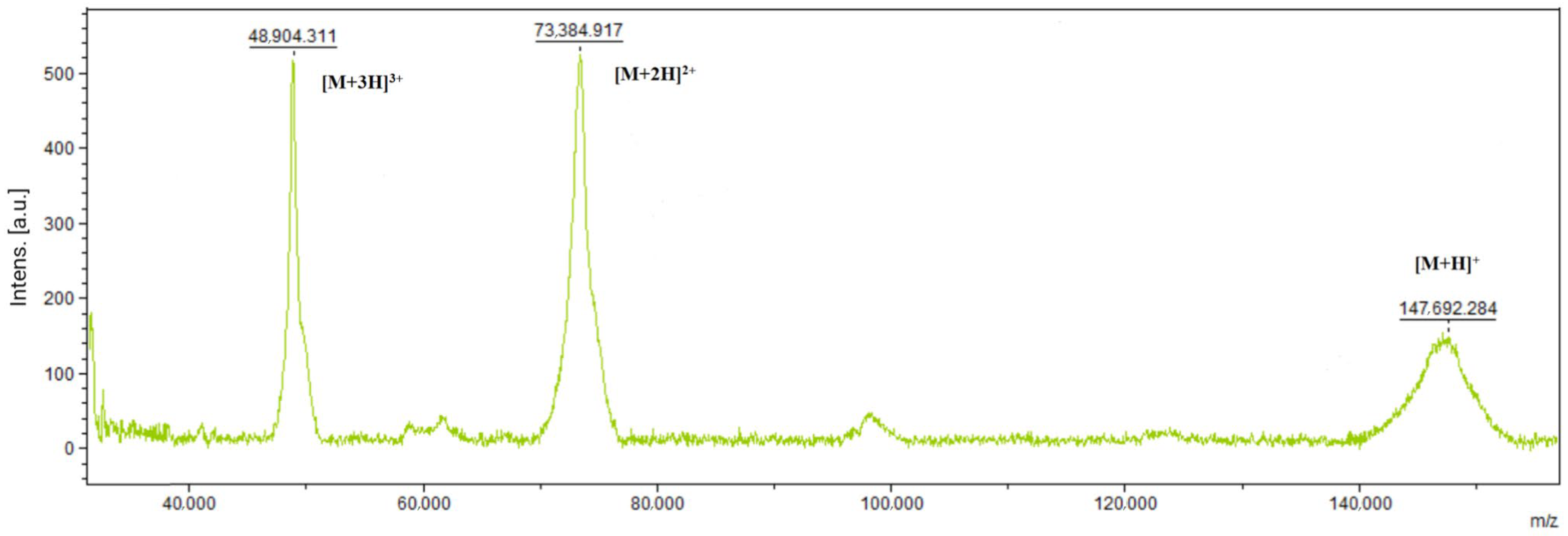 Antibodies 13 00082 g005