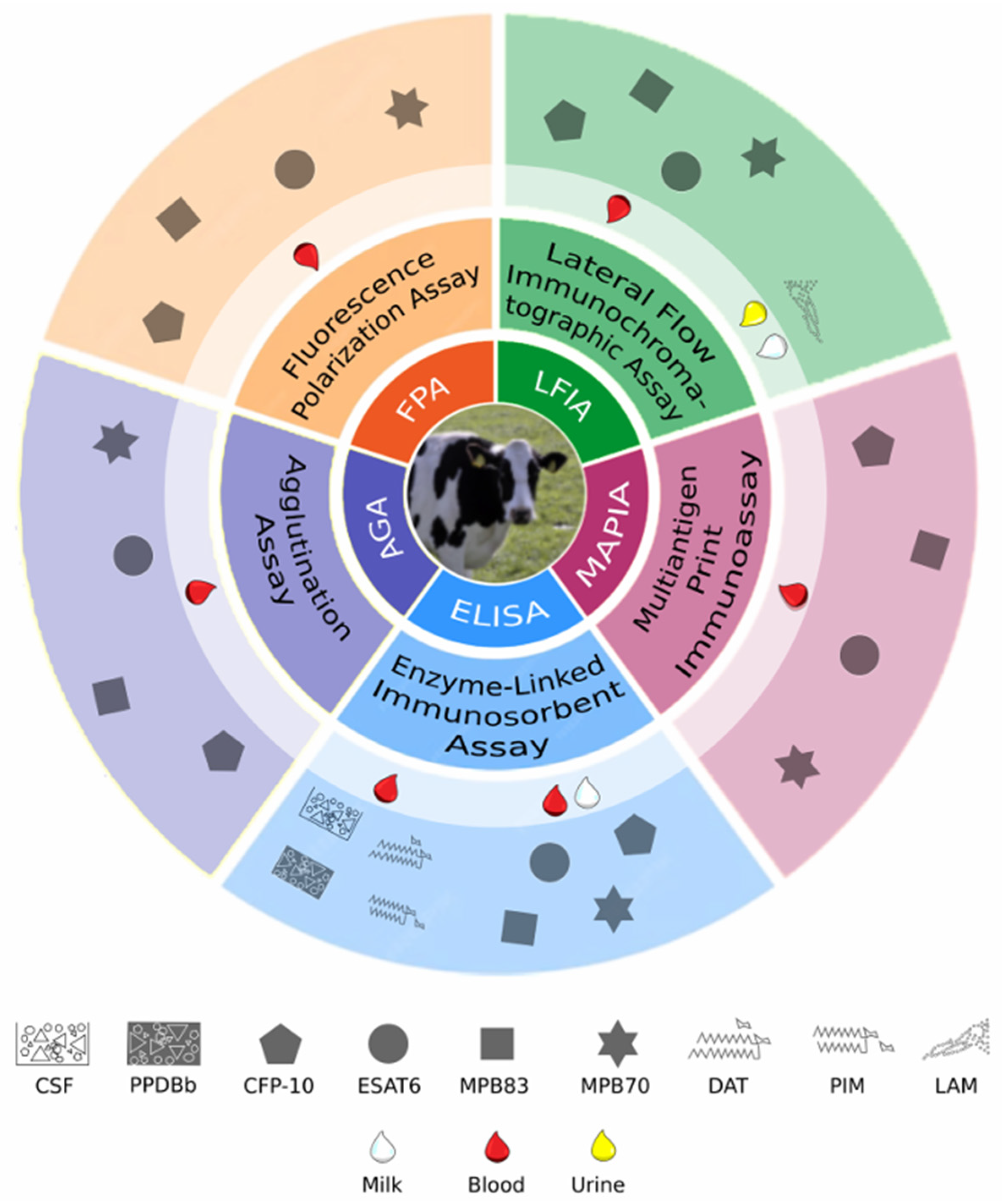 Antibodies 13 00084 g003 Antibodies 13 00084 g003