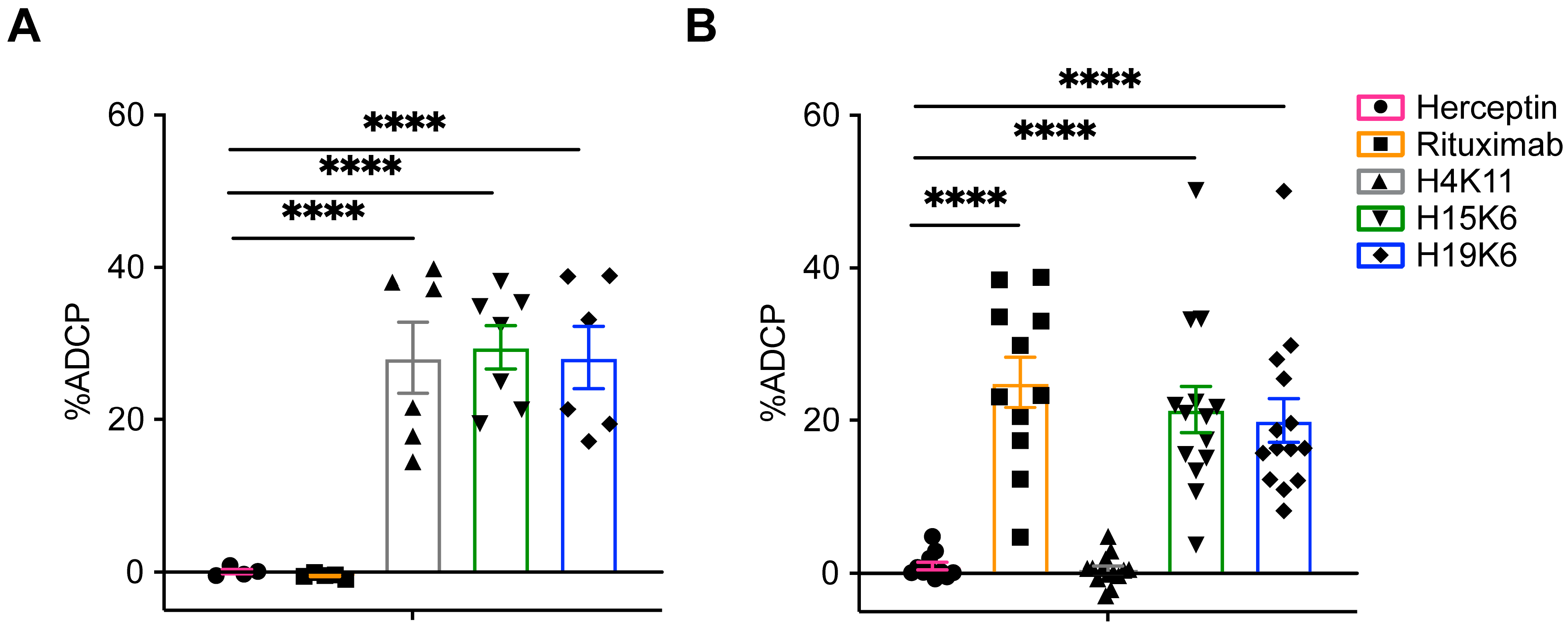Antibodies 13 00085 g004