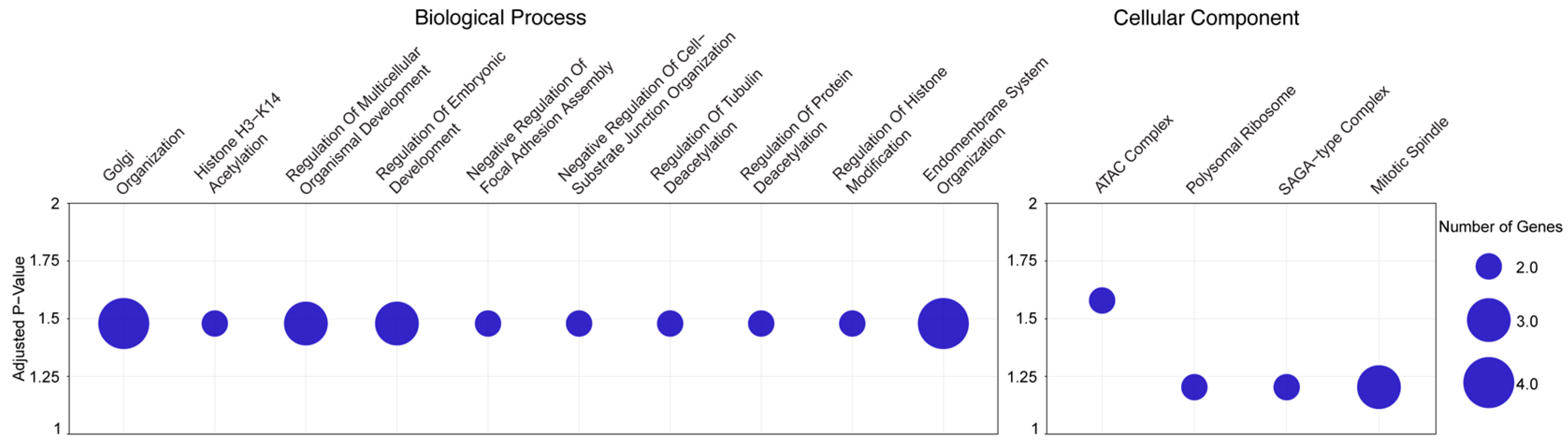 Antibodies 13 00091 g003