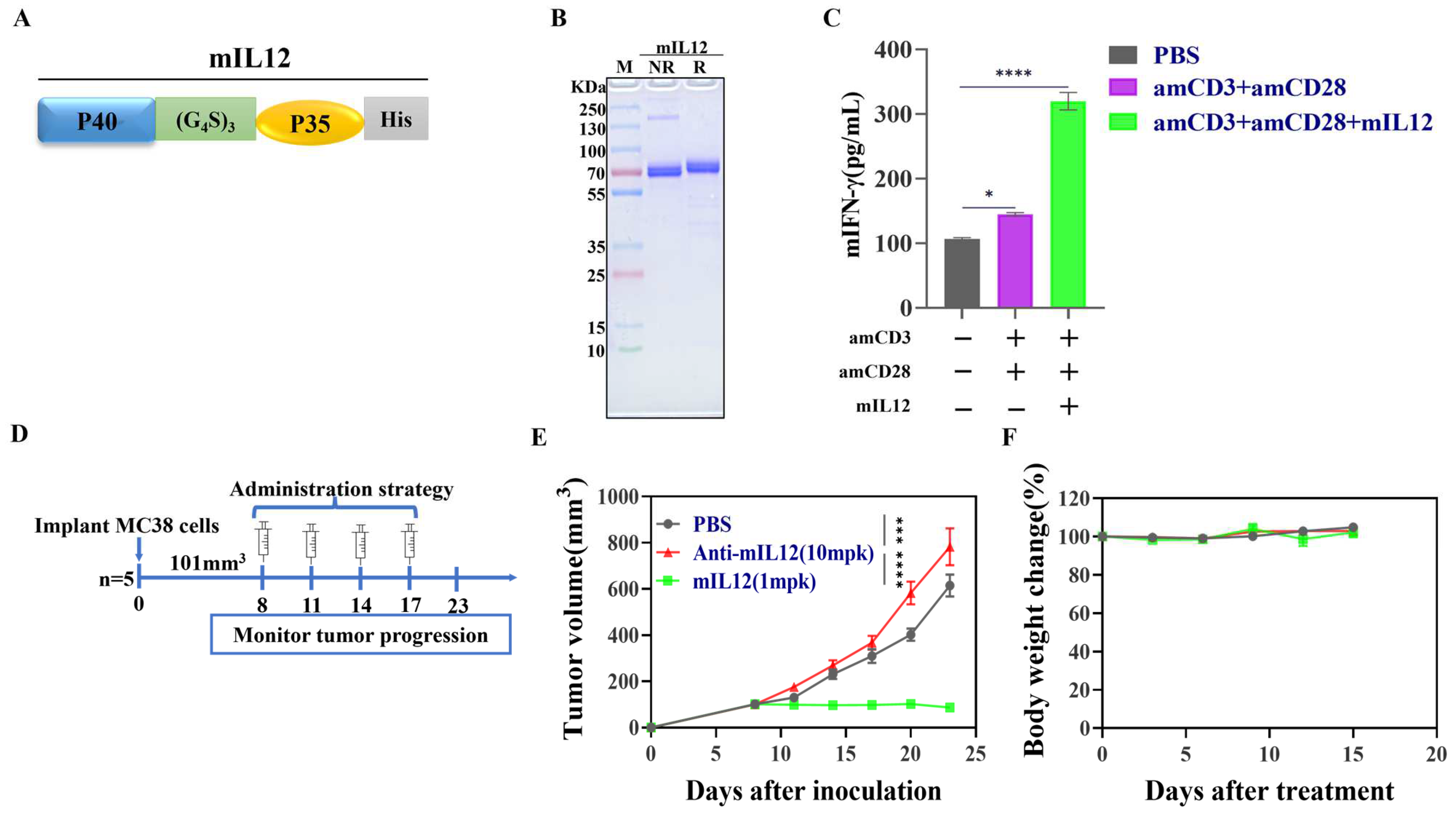 Antibodies 13 00094 g001