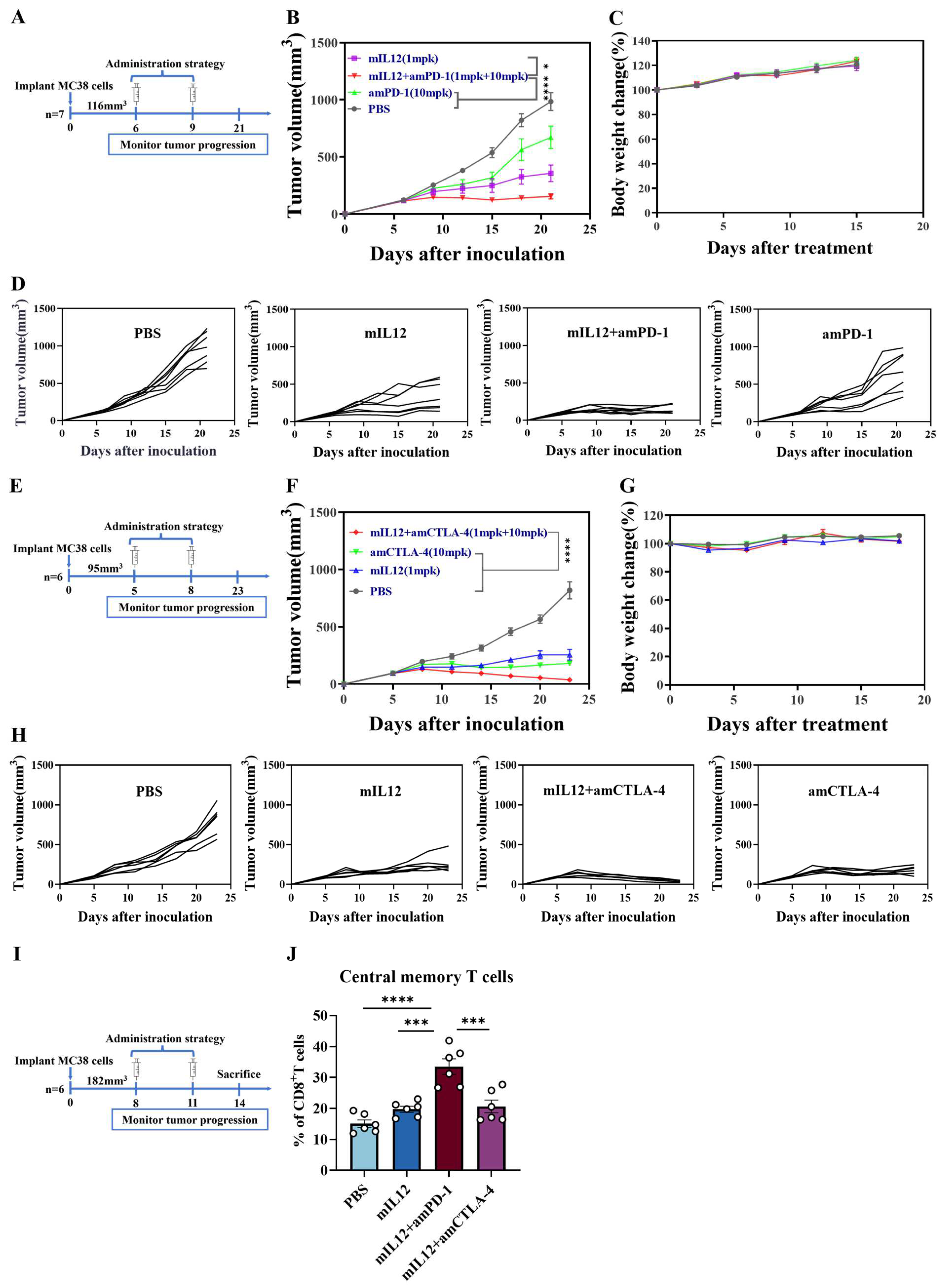Antibodies 13 00094 g004