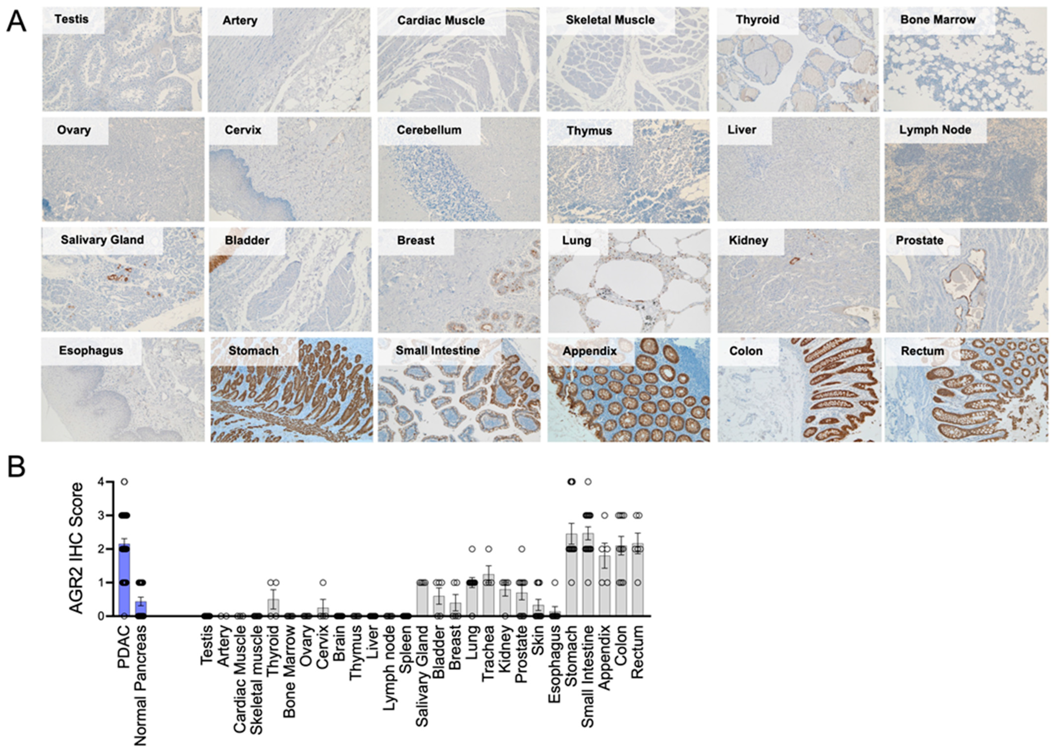 Antibodies 13 00101 g003