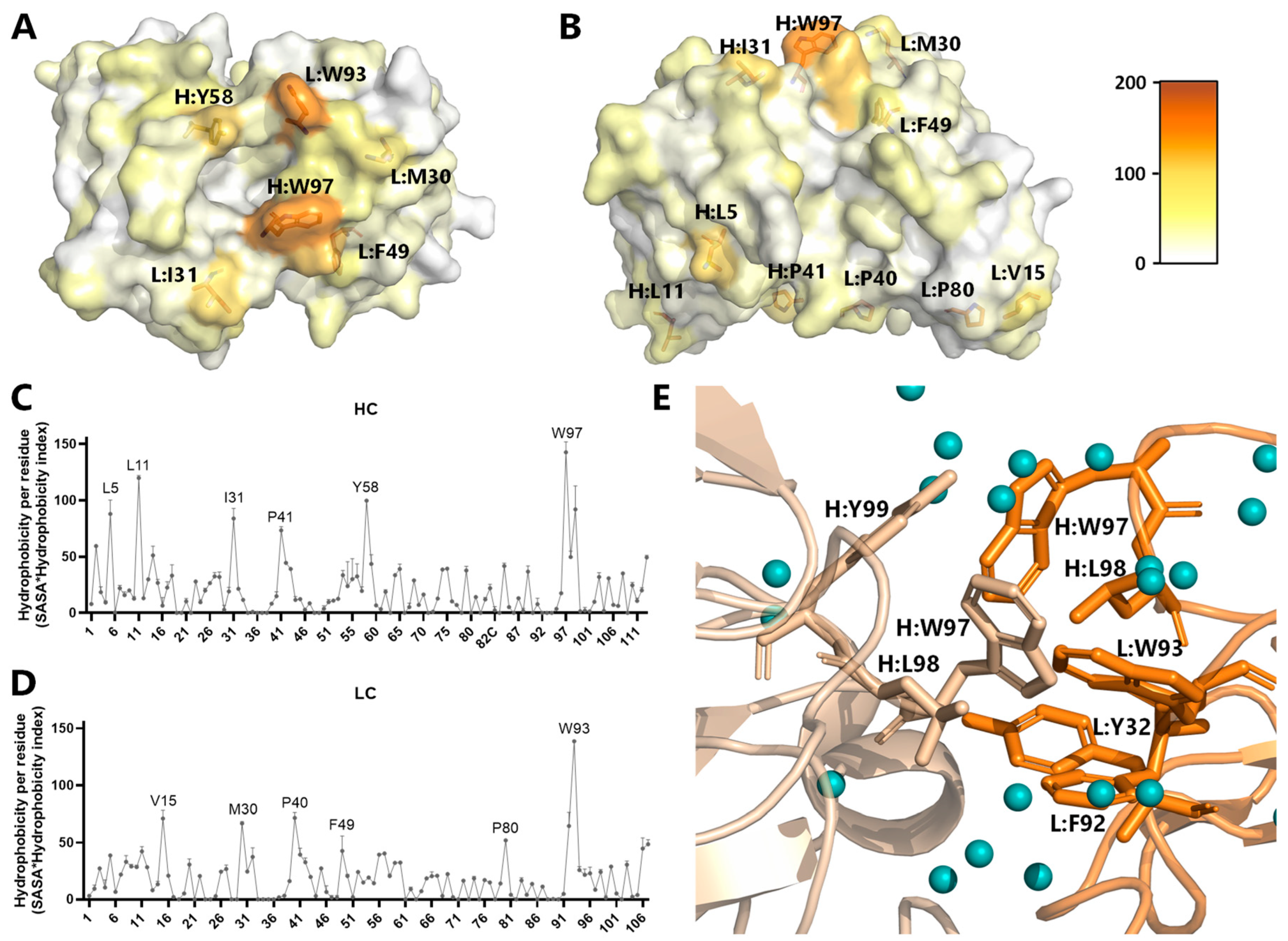 Antibodies 13 00104 g001