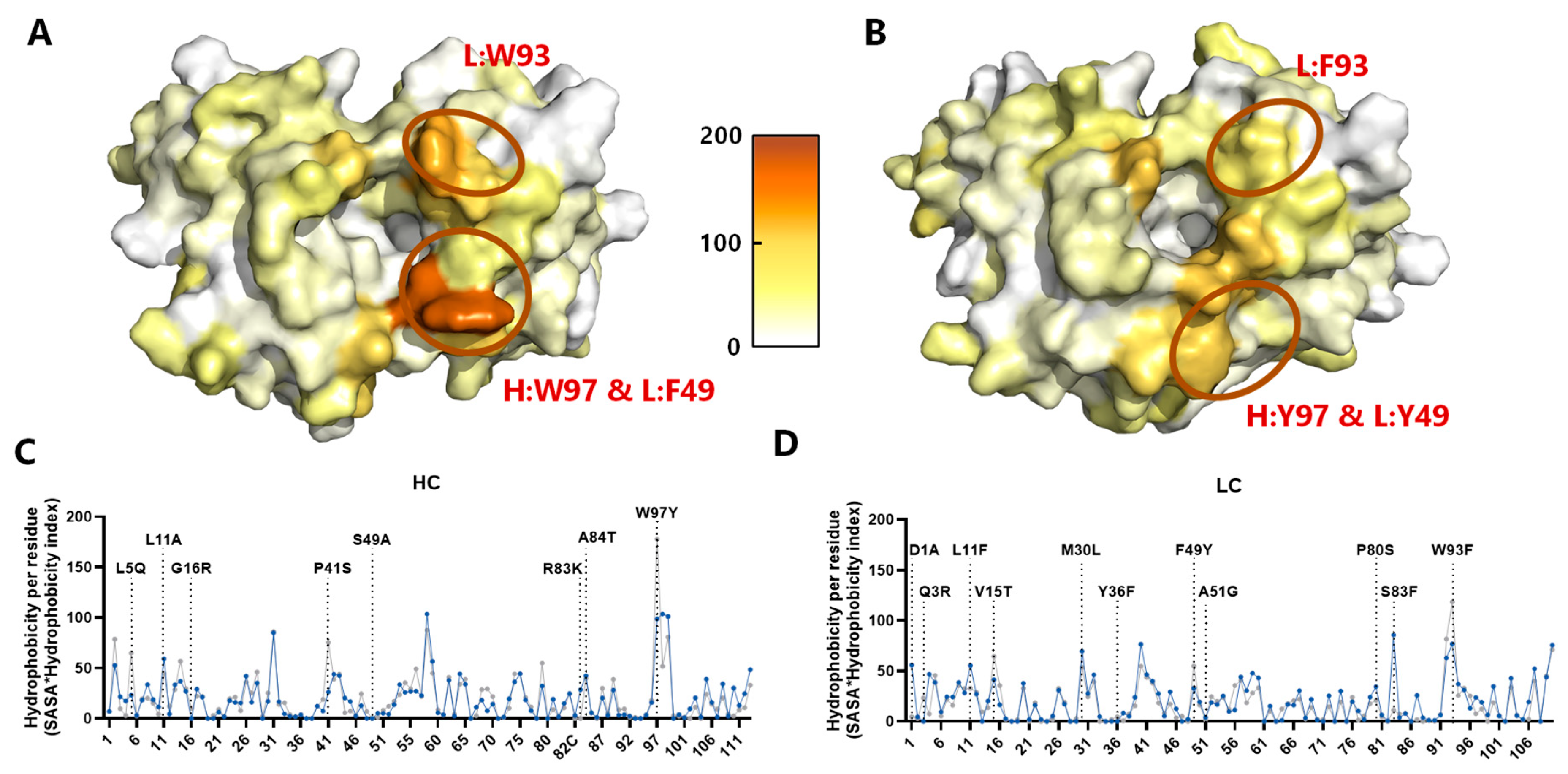 Antibodies 13 00104 g003