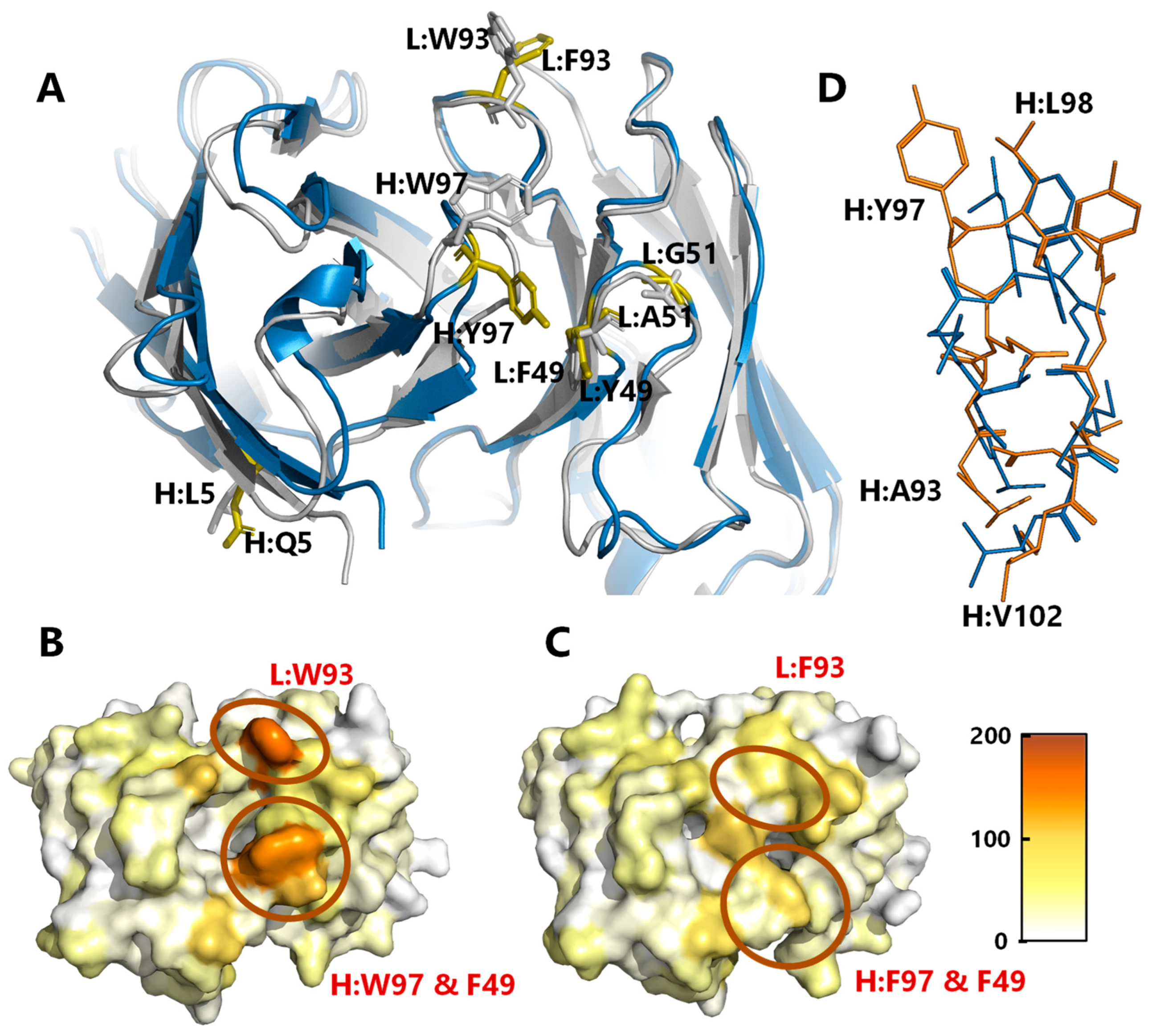 Antibodies 13 00104 g006