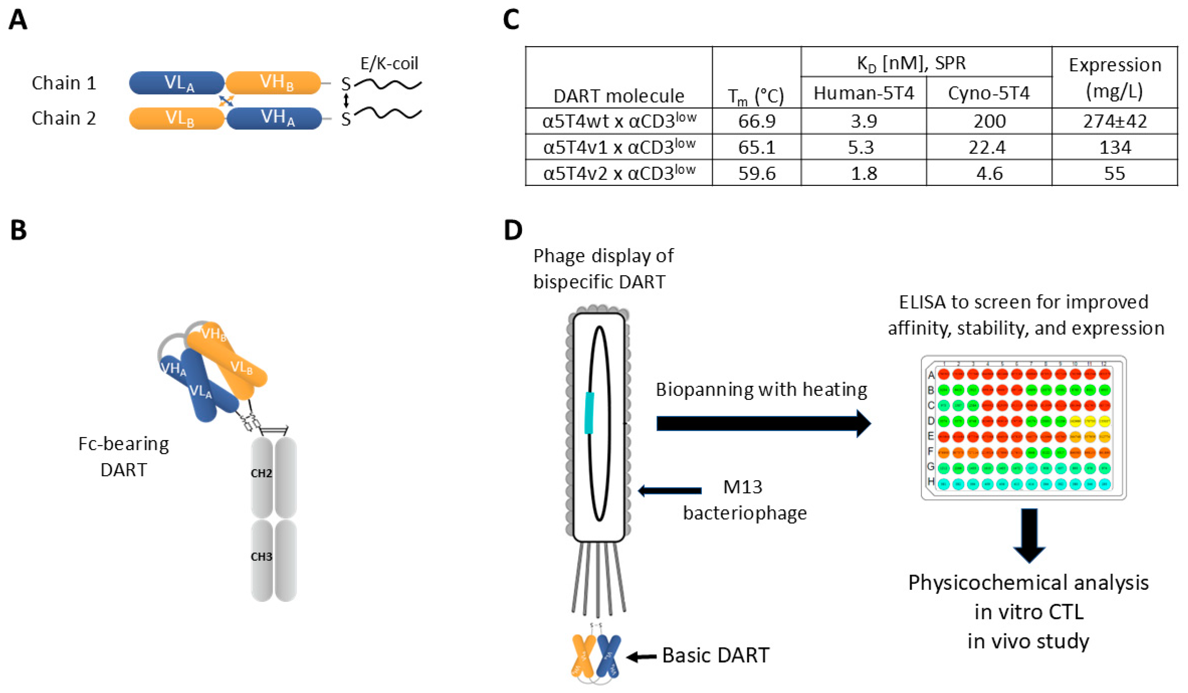 Antibodies 14 00007 g001