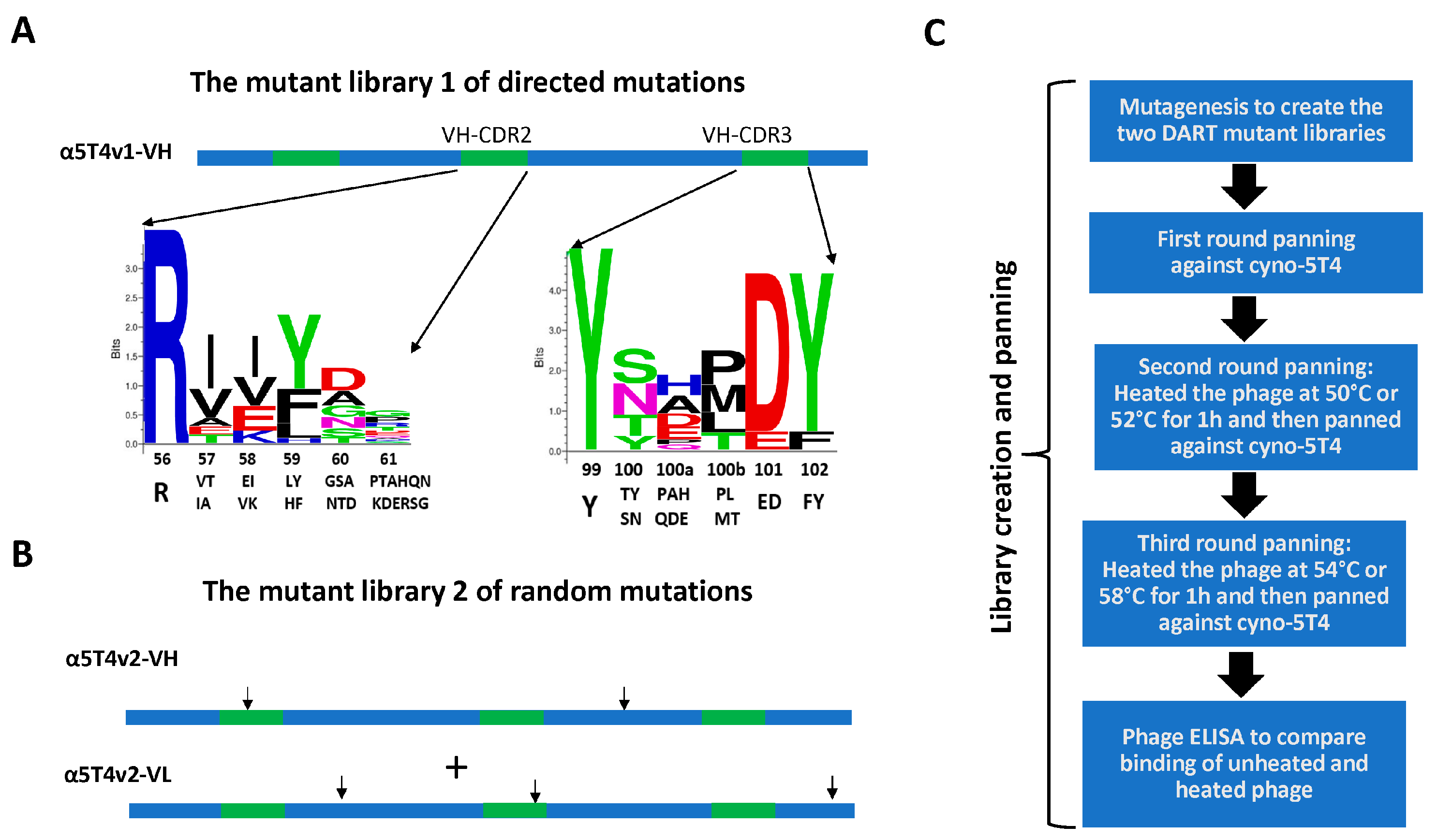 Antibodies 14 00007 g002