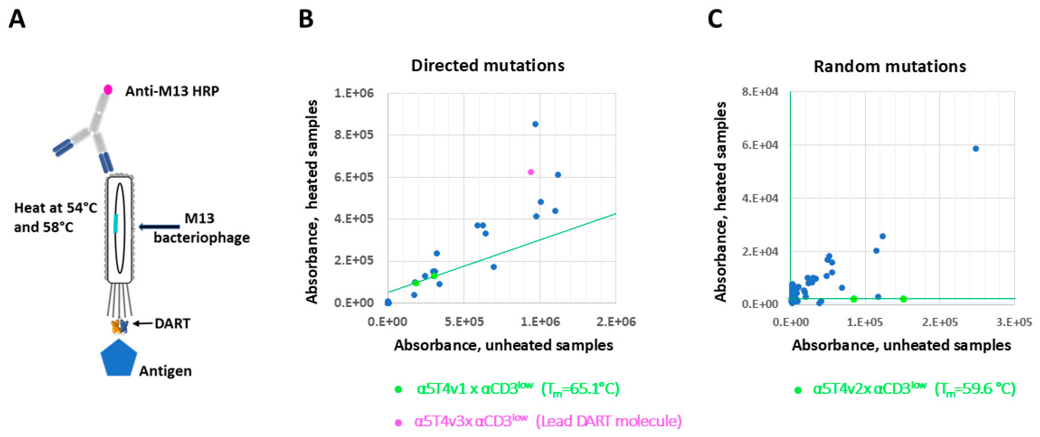 Antibodies 14 00007 g003