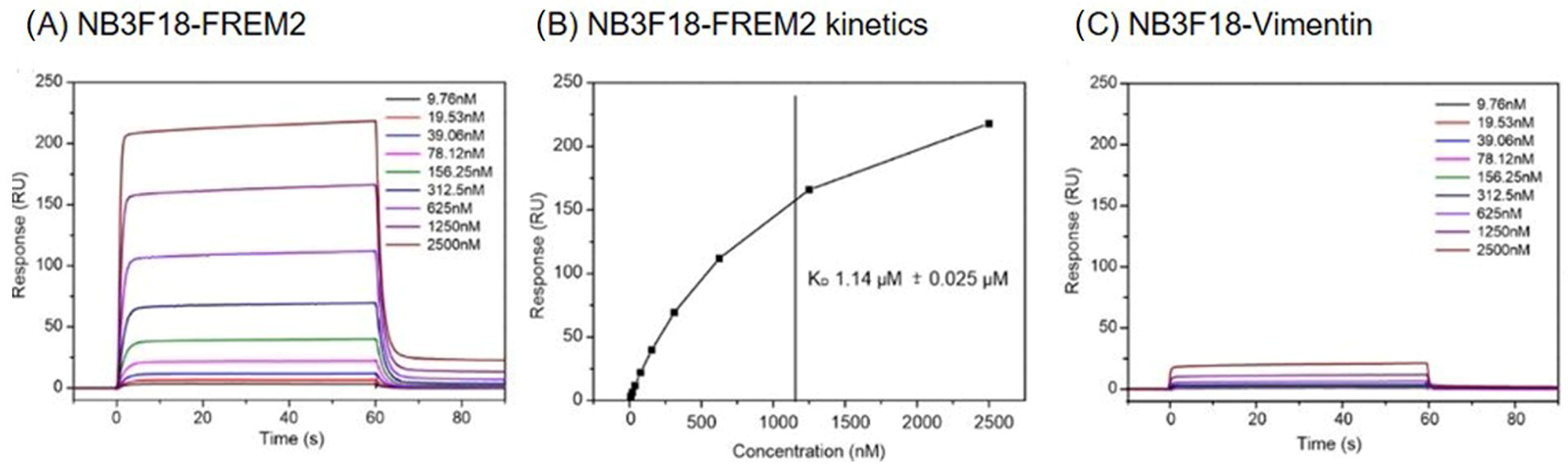 Antibodies 14 00008 g003