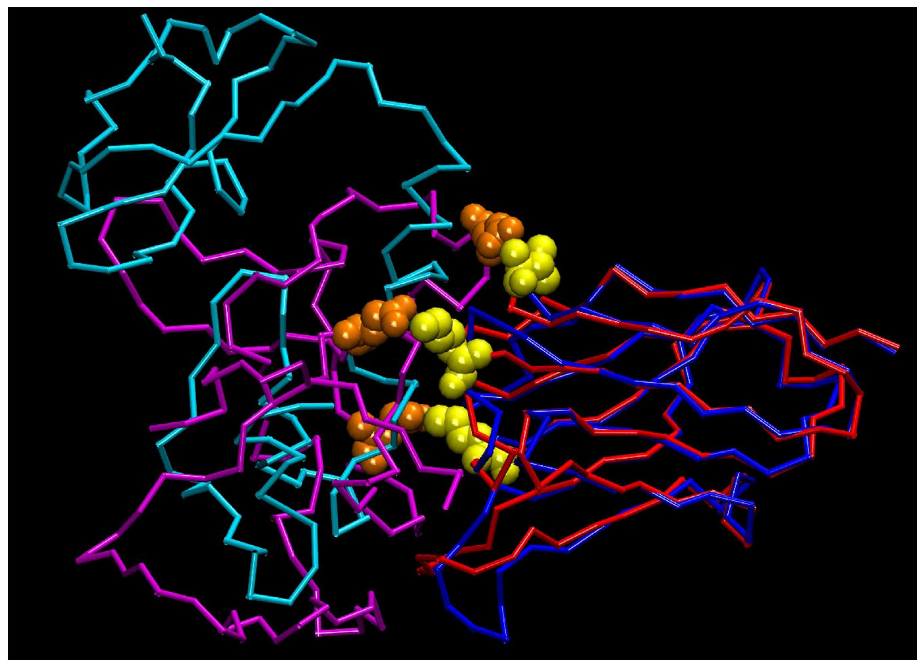 Antibodies 14 00008 g004