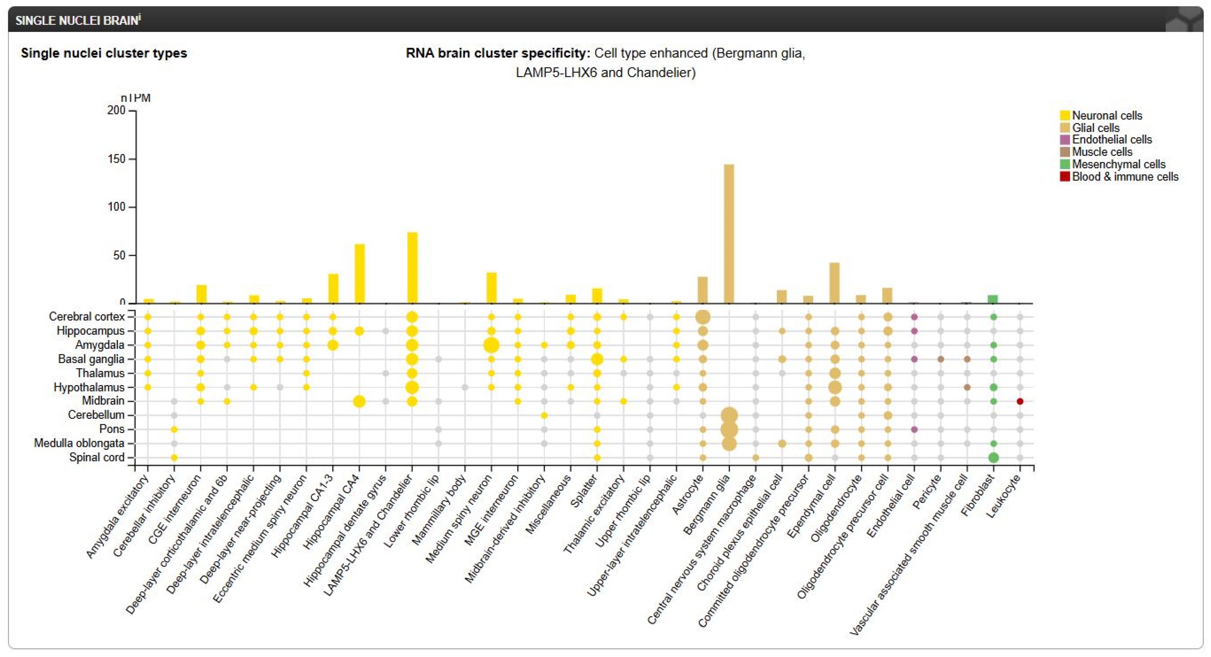 Antibodies 14 00008 g012
