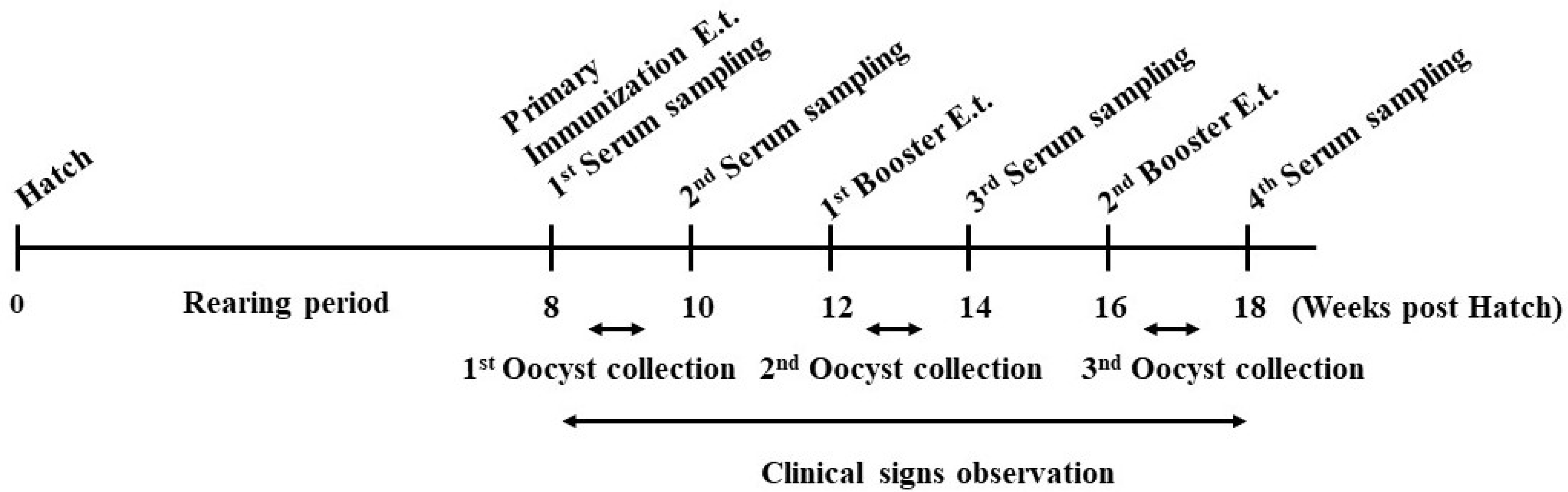 Antibodies 14 00009 g001 Antibodies 14 00009 g001