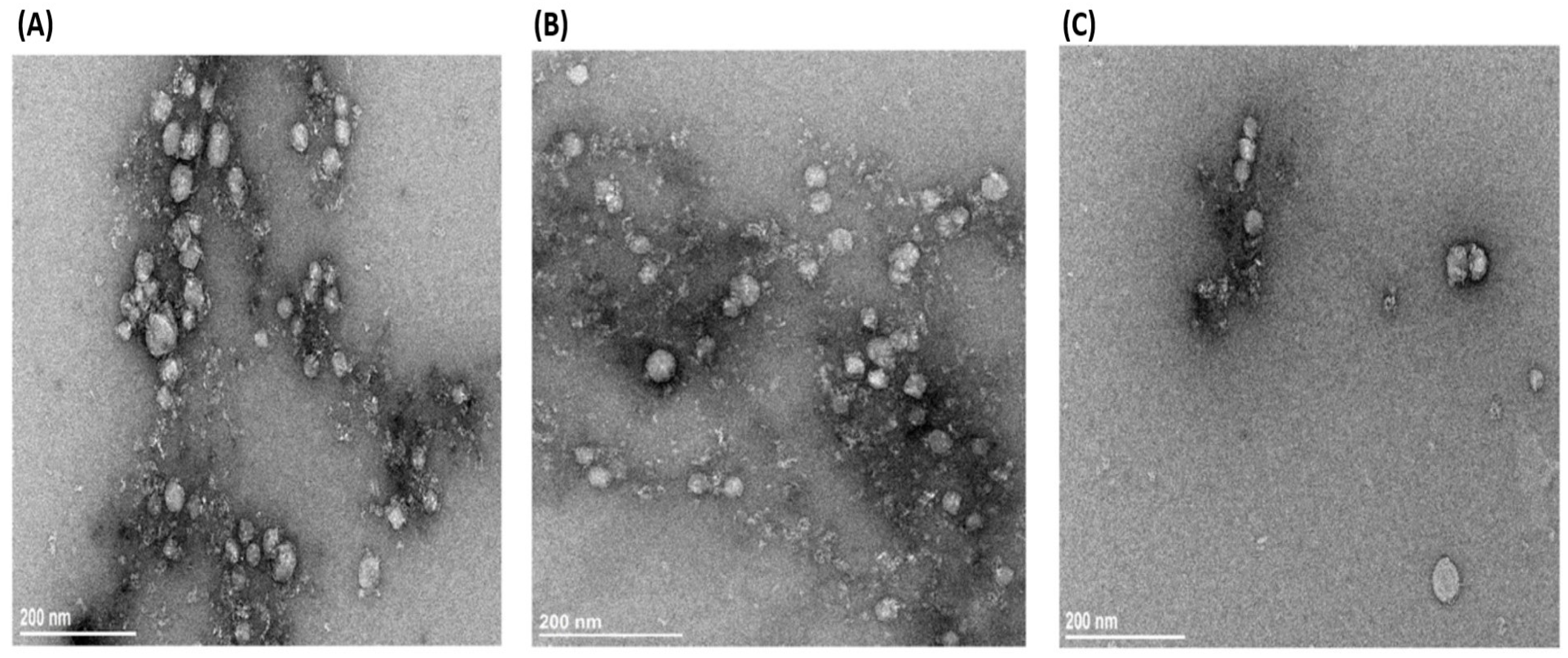Antibodies 14 00010 g007