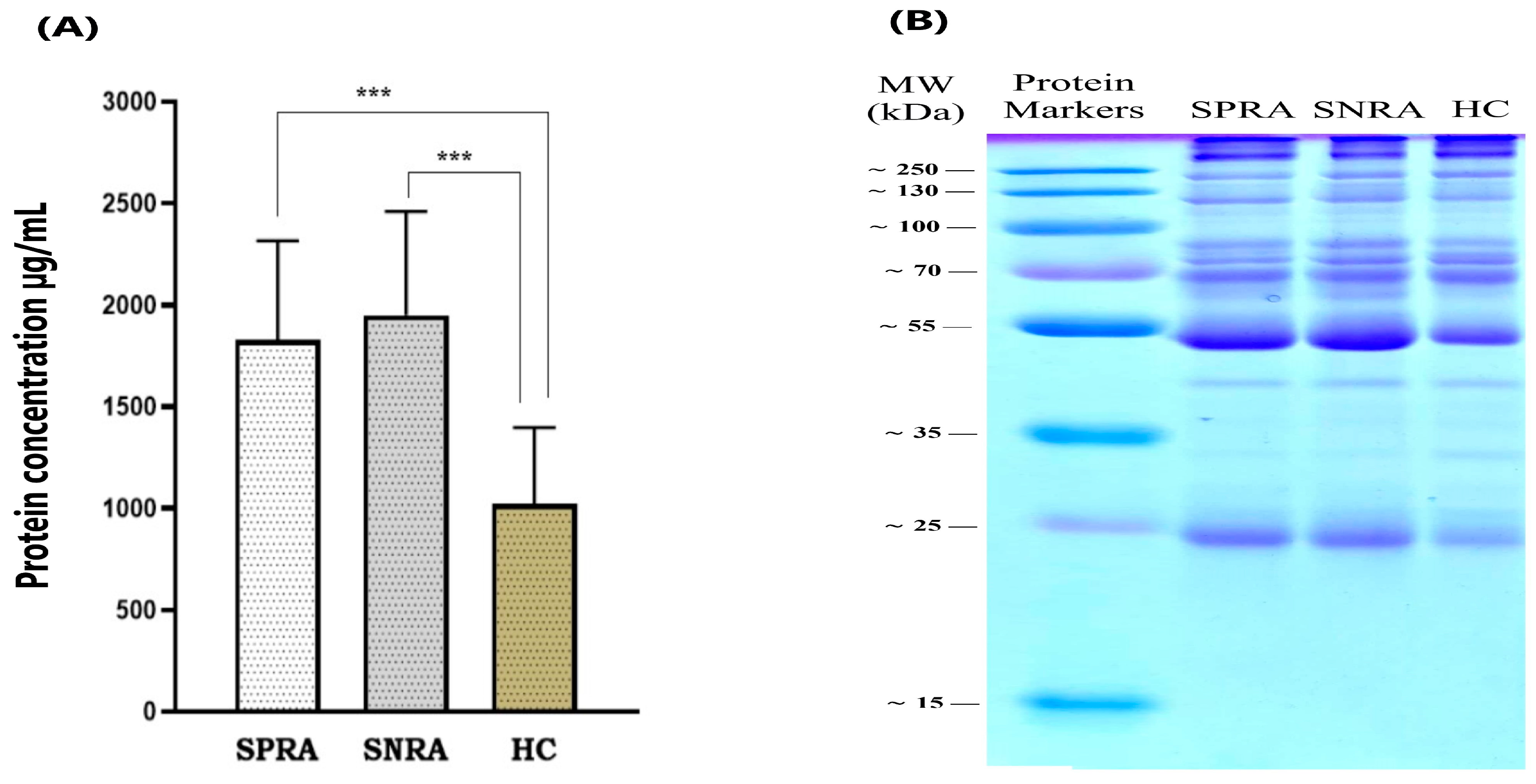 Antibodies 14 00010 g008