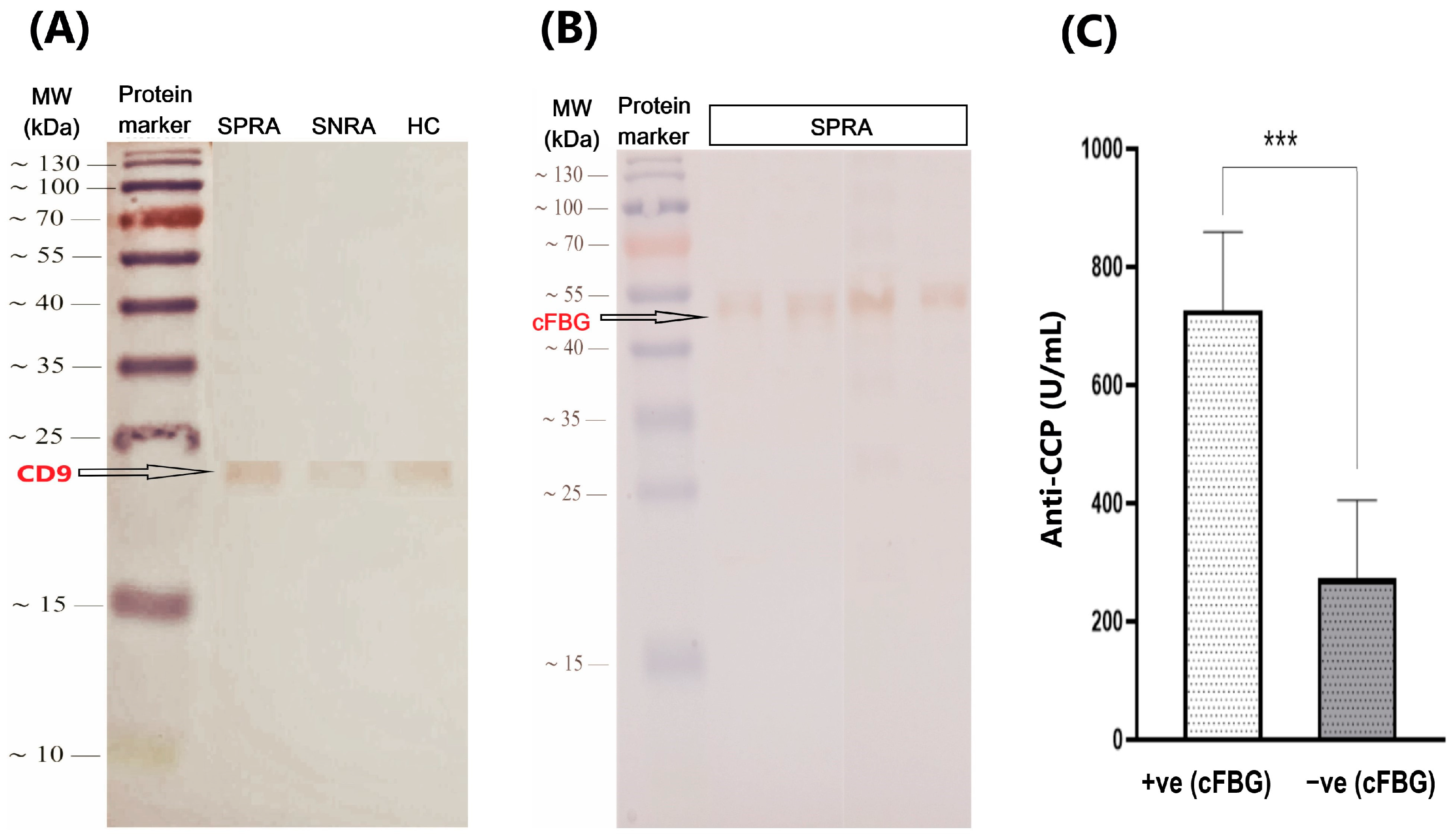 Antibodies 14 00010 g009