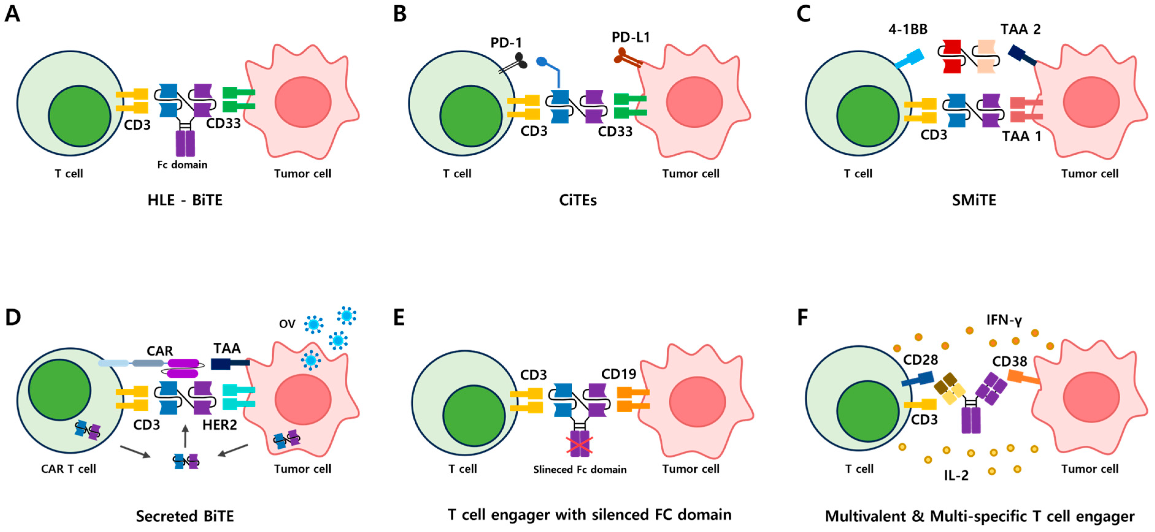Antibodies 14 00016 g003