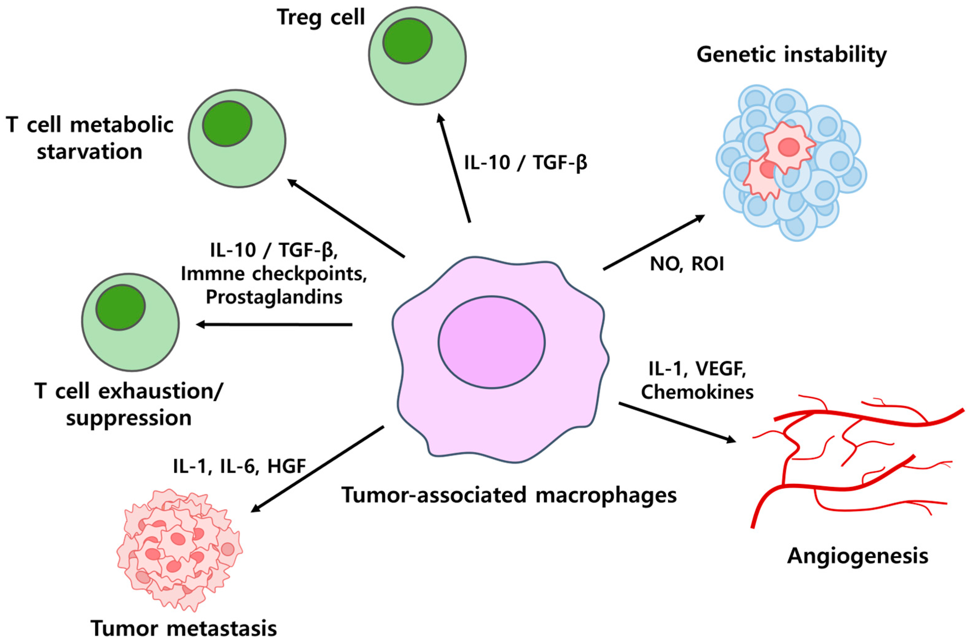 Antibodies 14 00016 g007