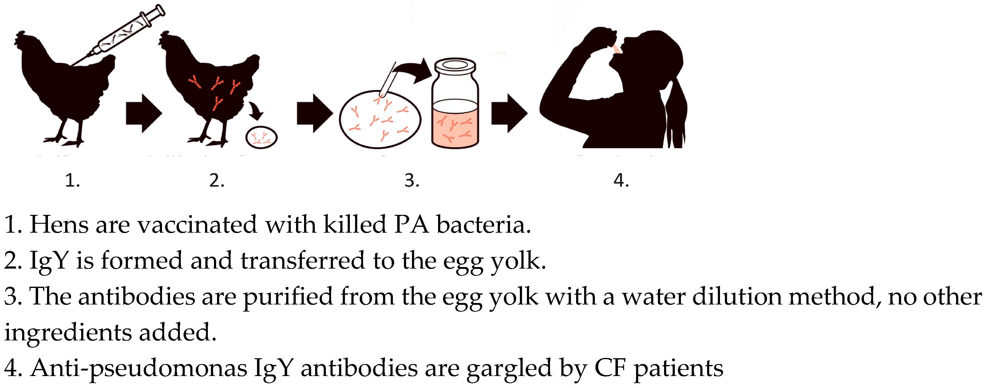 Antibodies 14 00018 g004