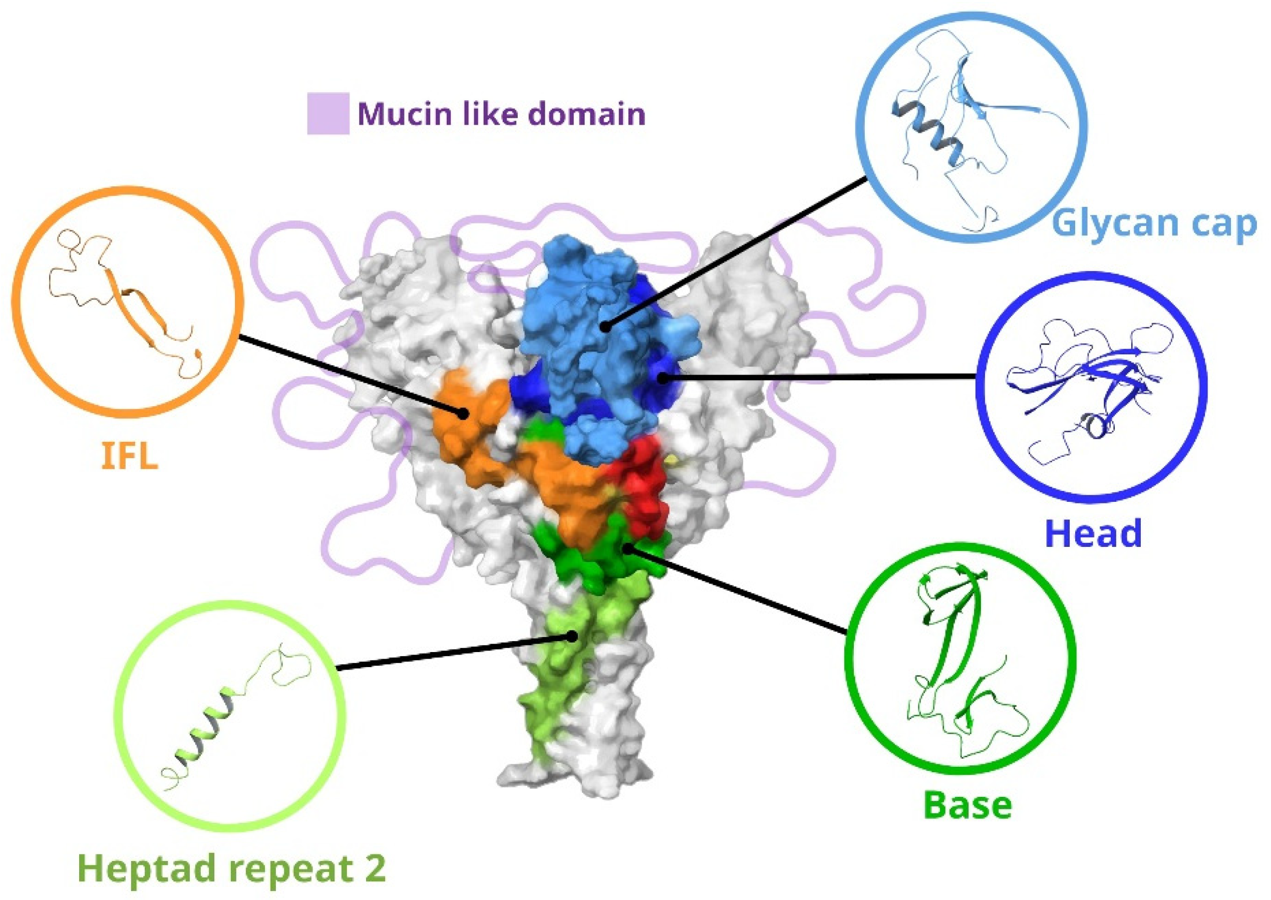 Antibodies 14 00022 g002