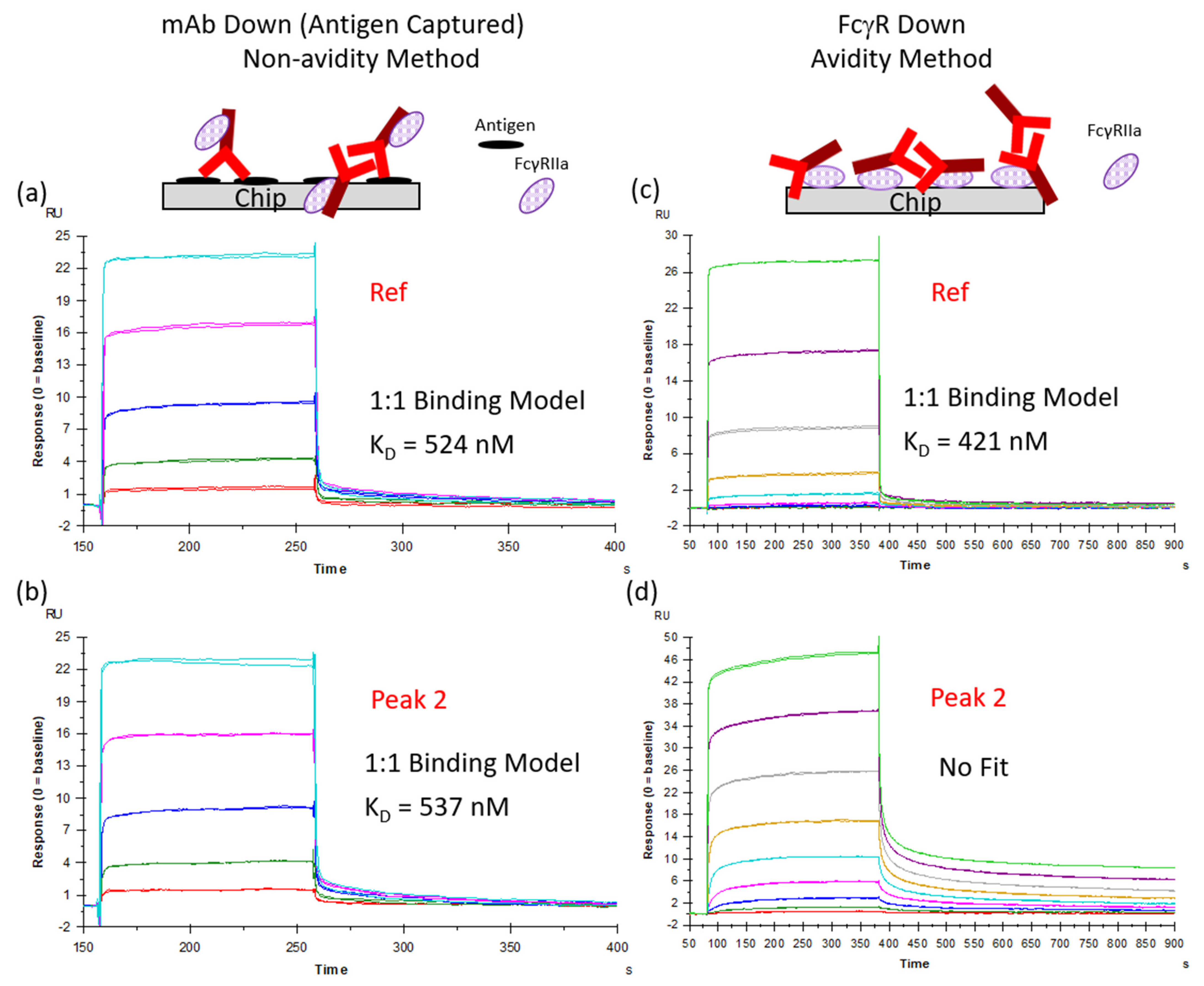 Antibodies 14 00031 g003