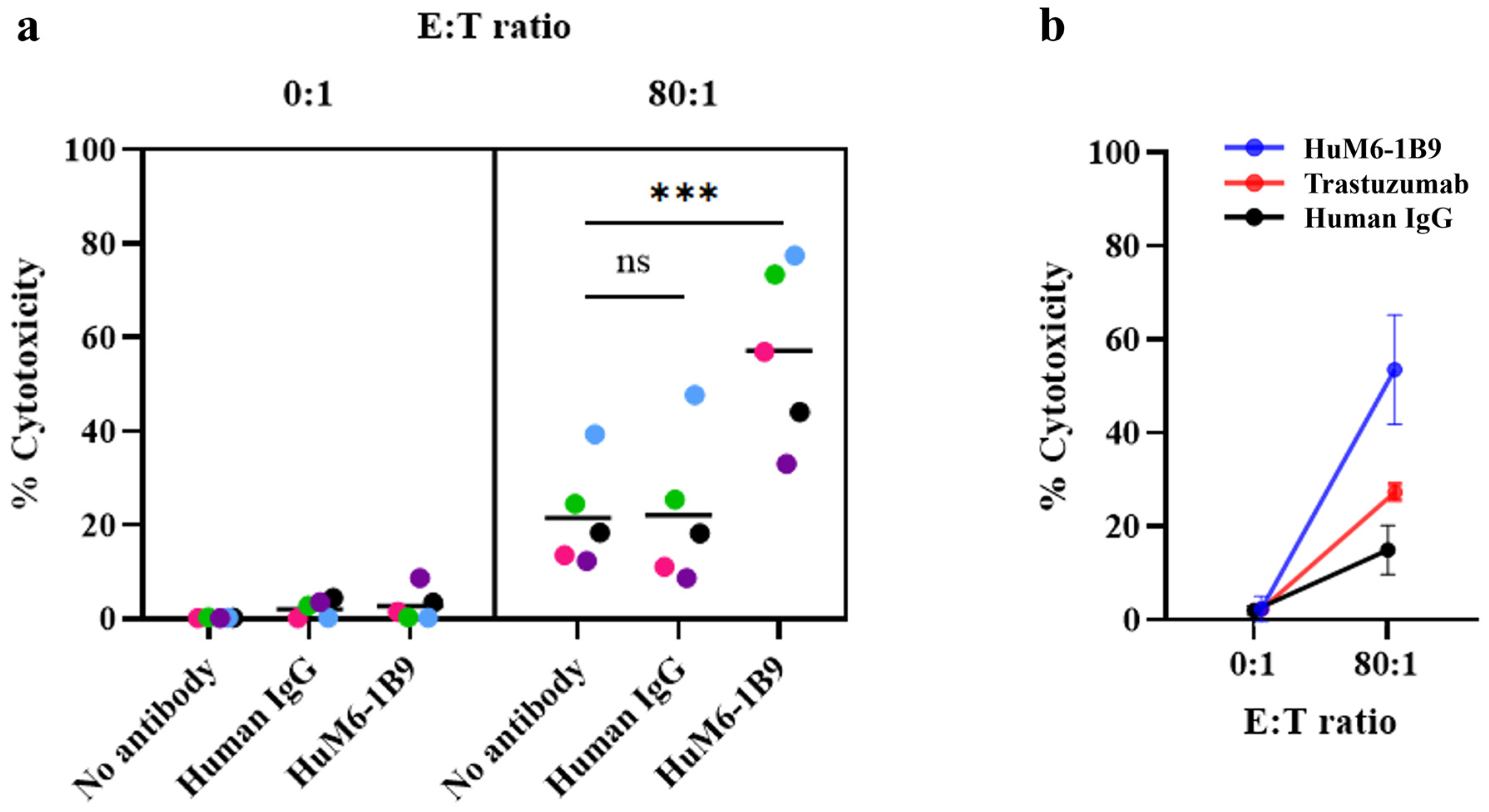 Antibodies 14 00036 g003