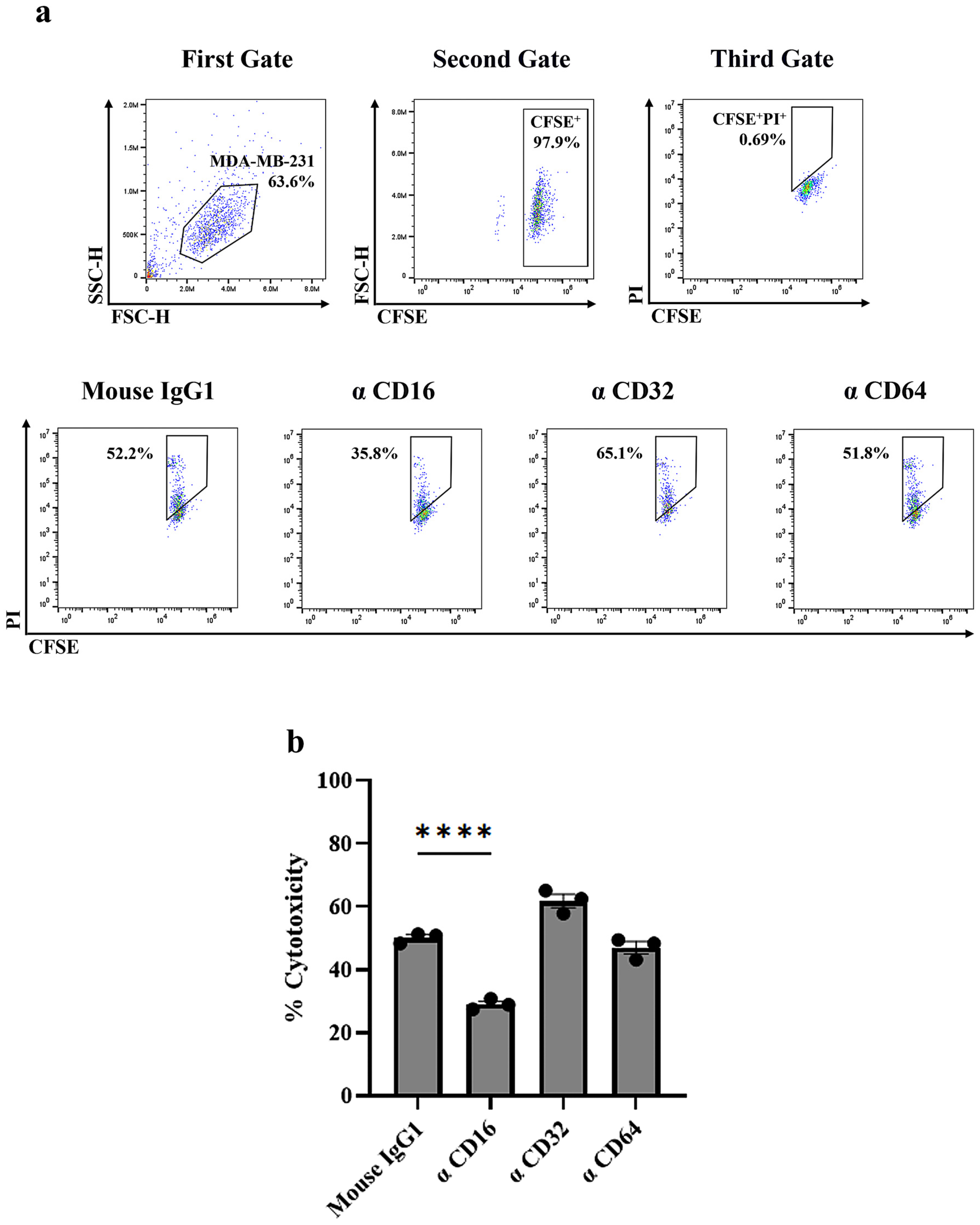 Antibodies 14 00036 g004
