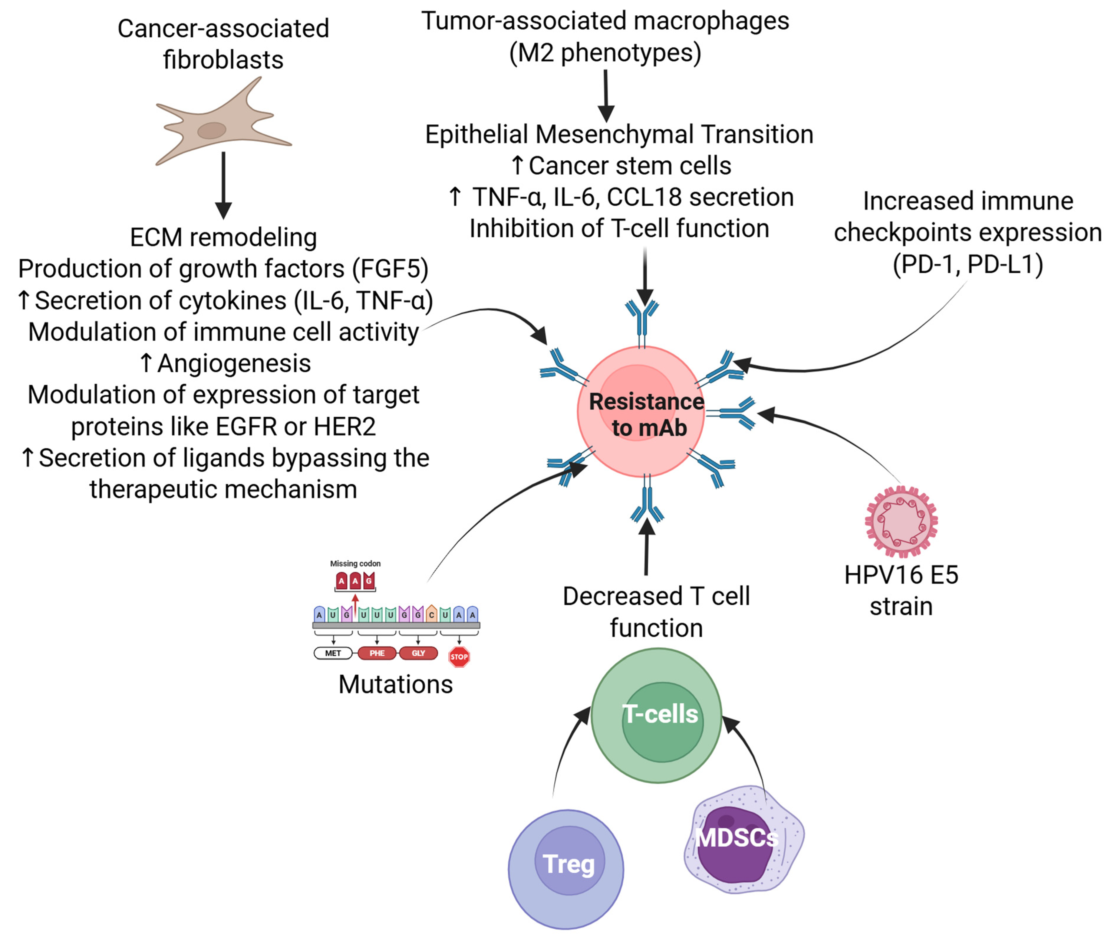 Antibodies 14 00037 g002
