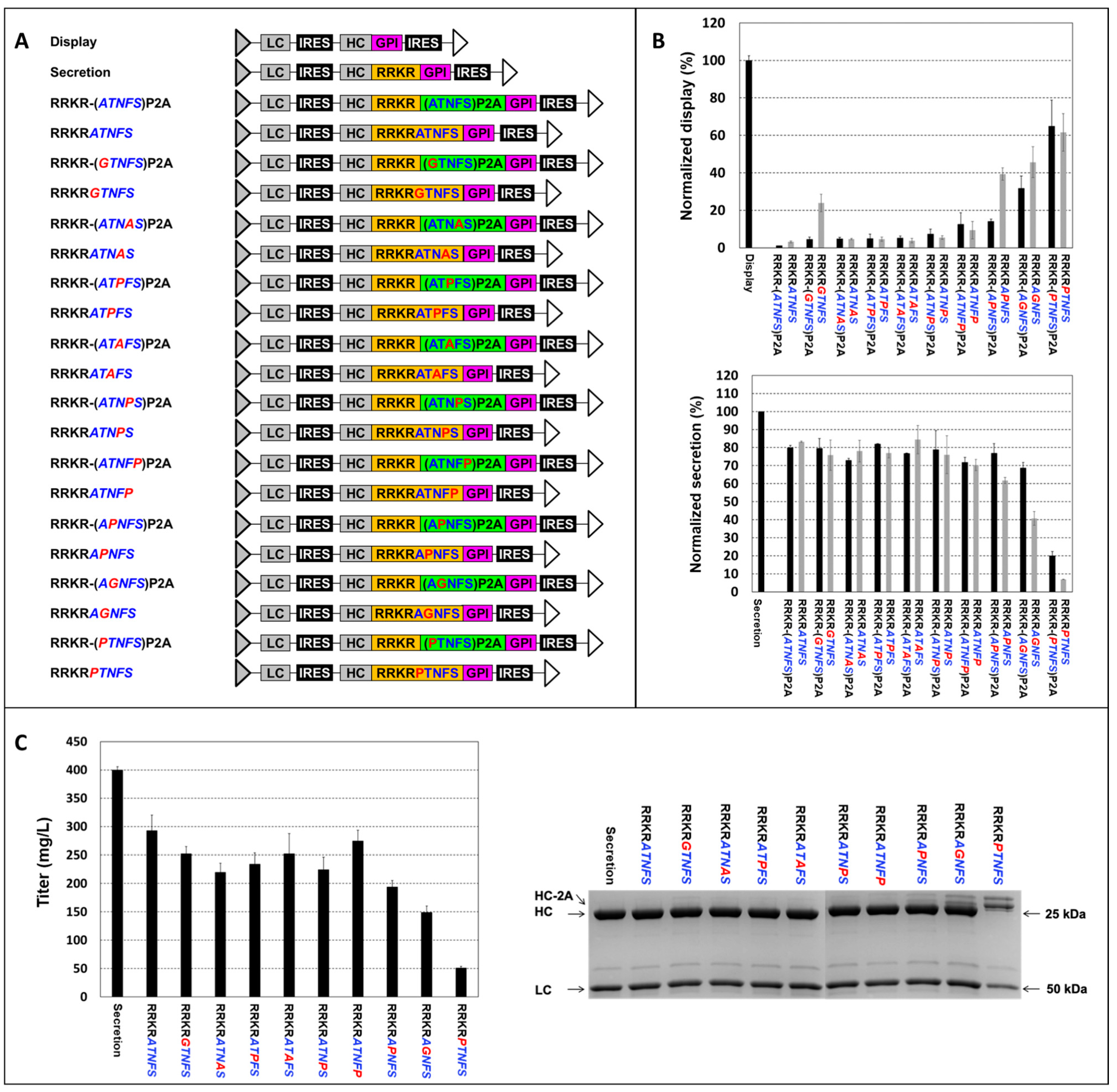 Antibodies 14 00038 g004 Antibodies 14 00038 g004